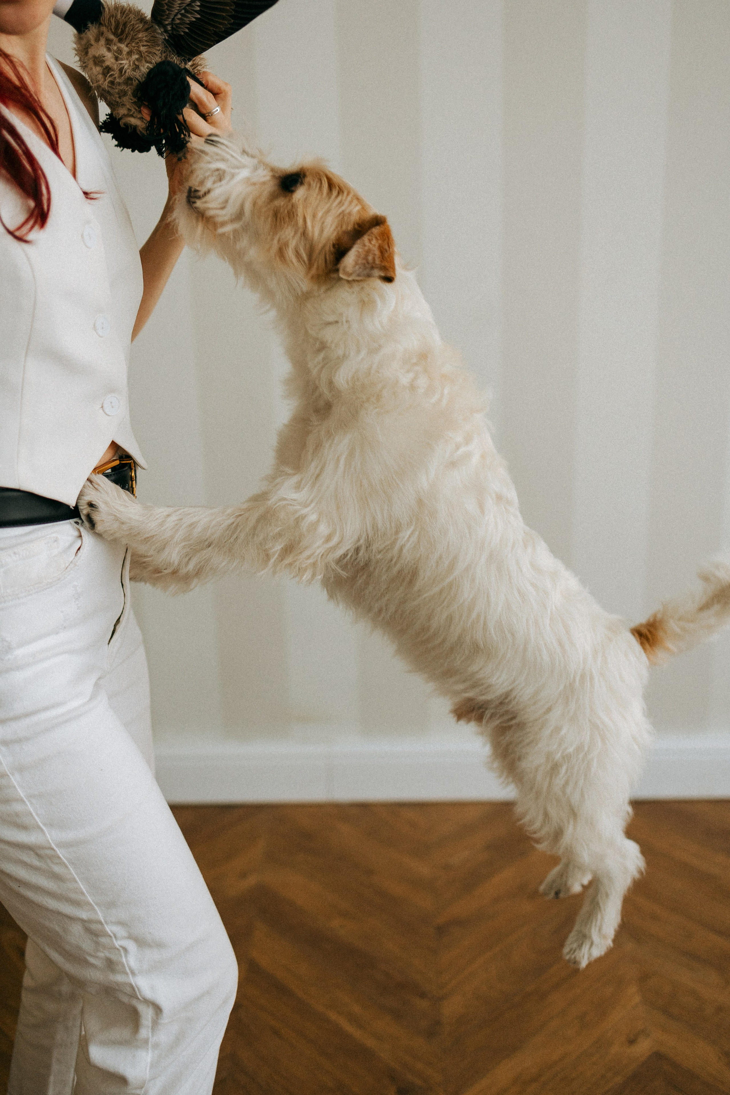 Цунами, Теон и Женя. Фотограф анималист Анастасия Пикей