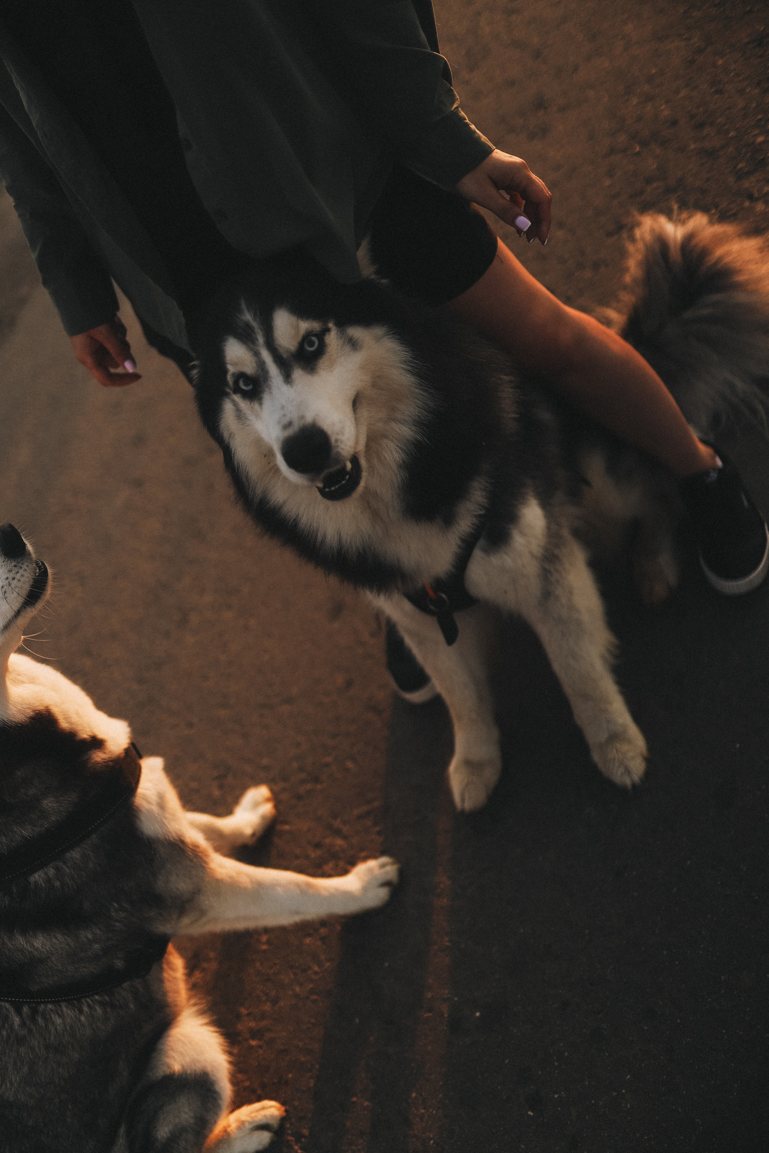 Катя на рассвете. Главная