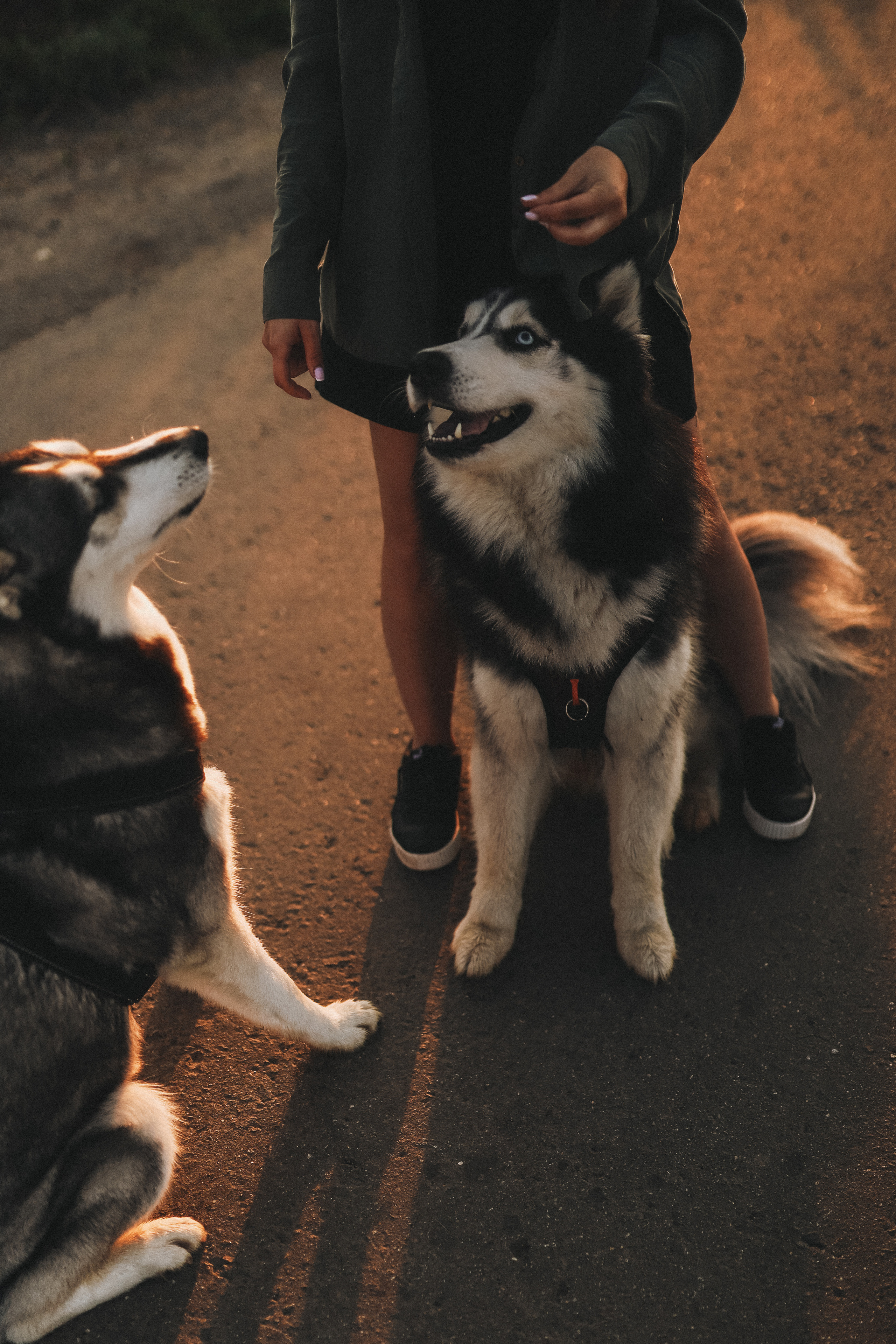 Катя на рассвете. Главная