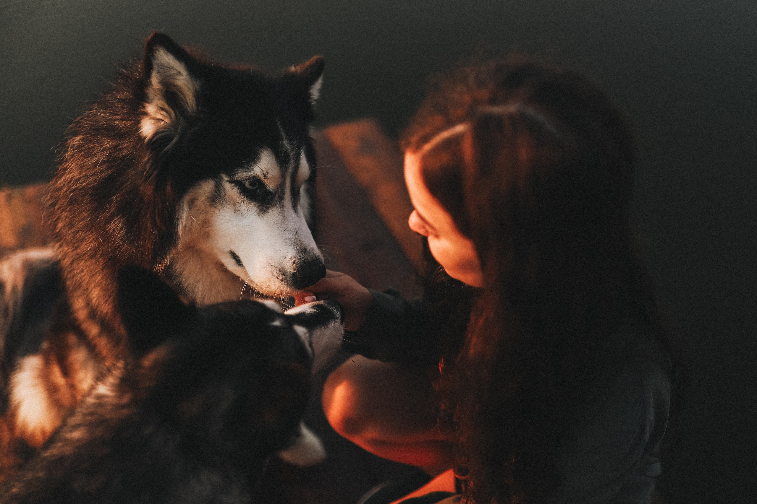 Катя на рассвете. Главная