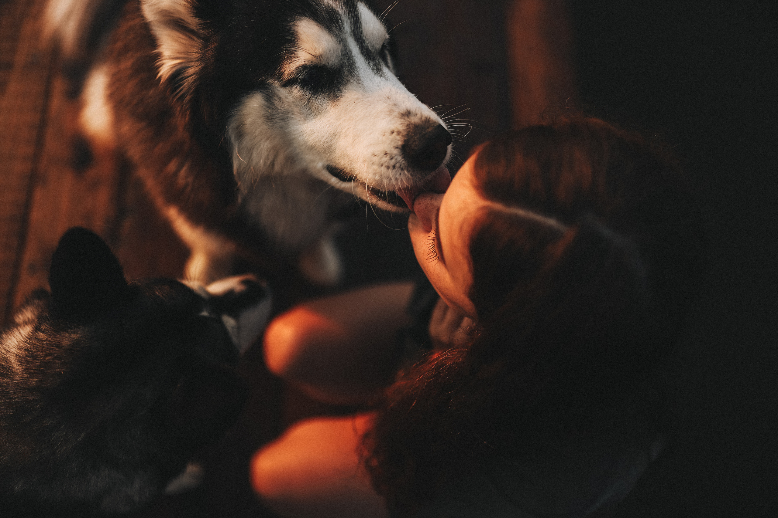 Катя на рассвете. Главная