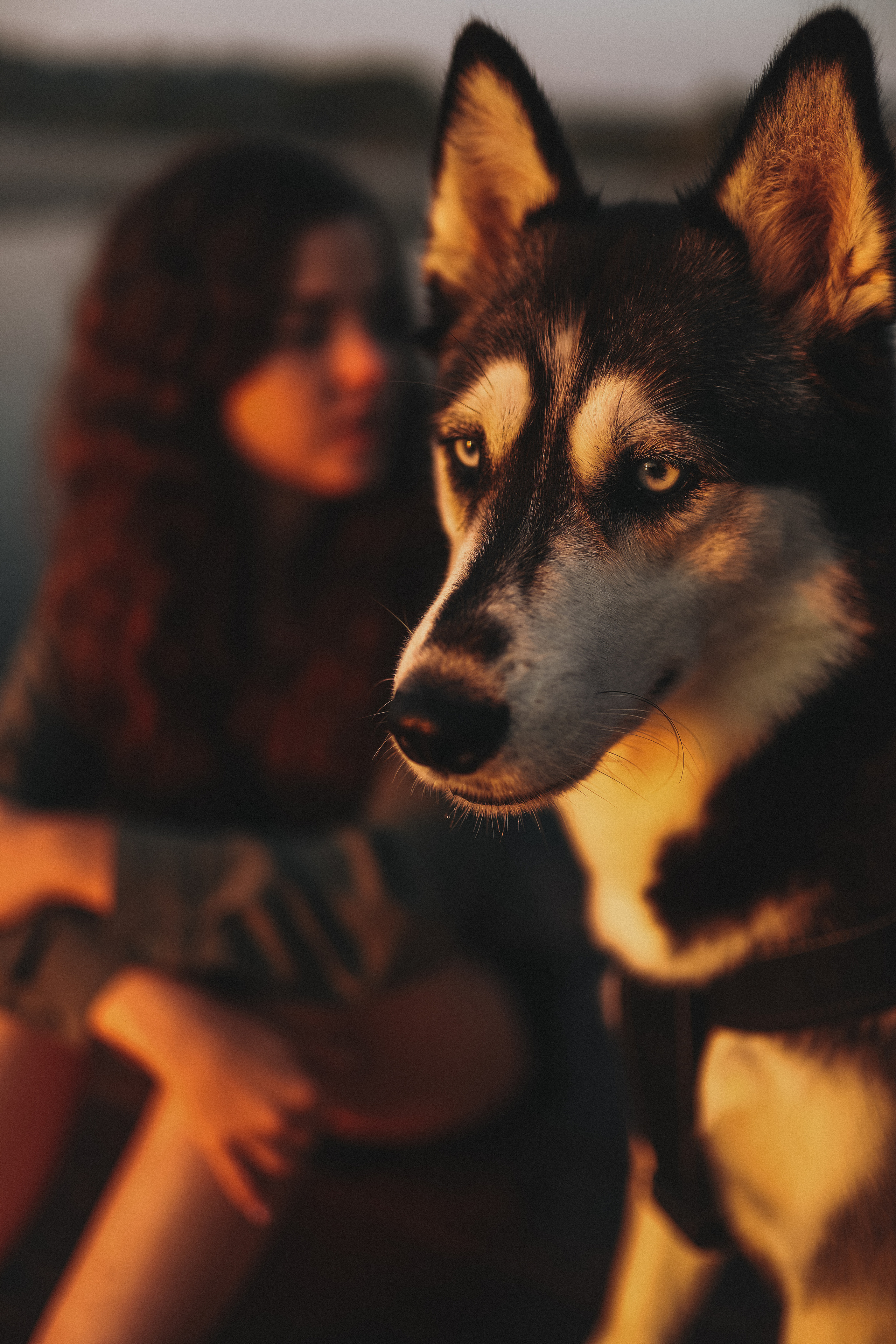 Катя на рассвете. Главная