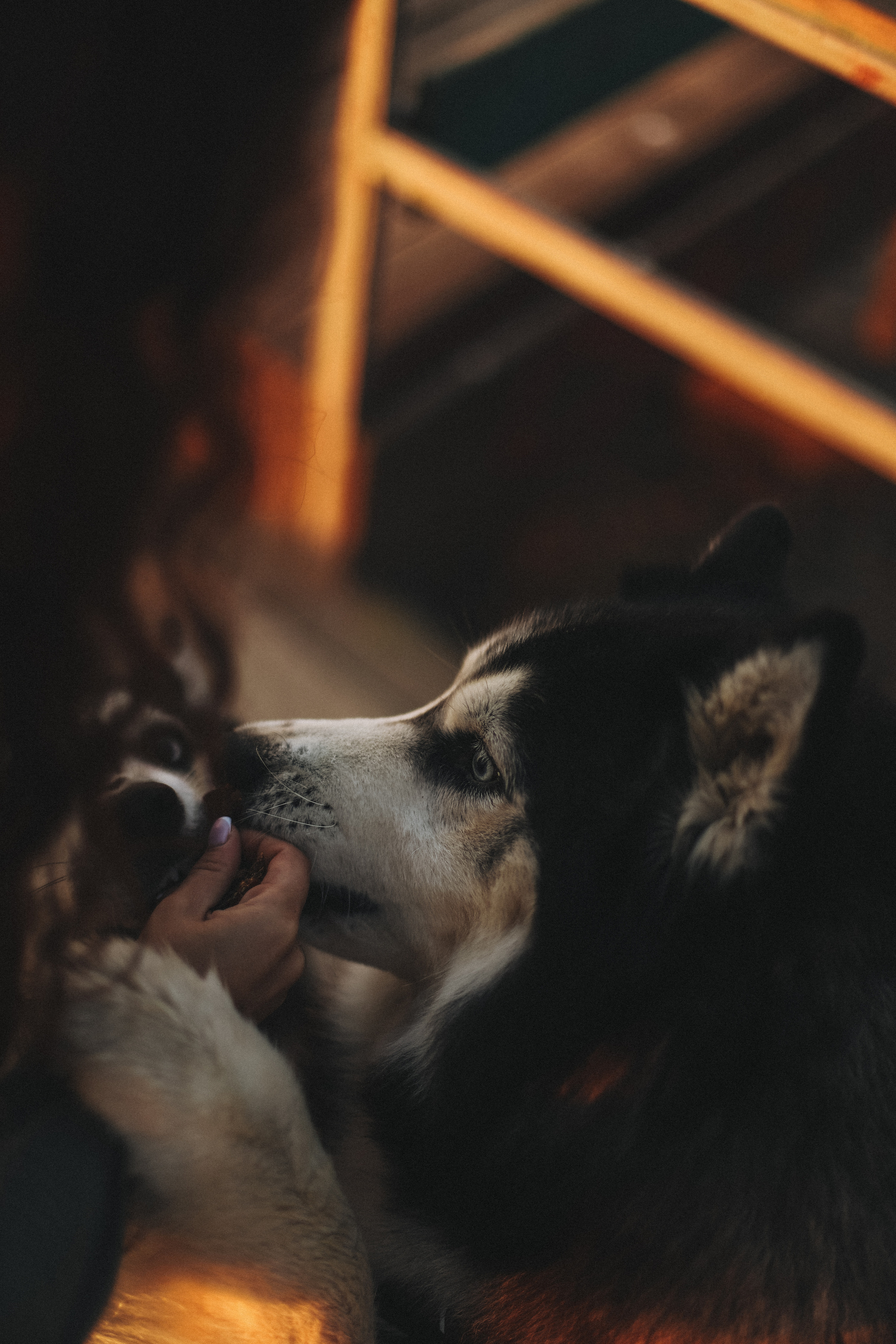 Катя на рассвете. Главная