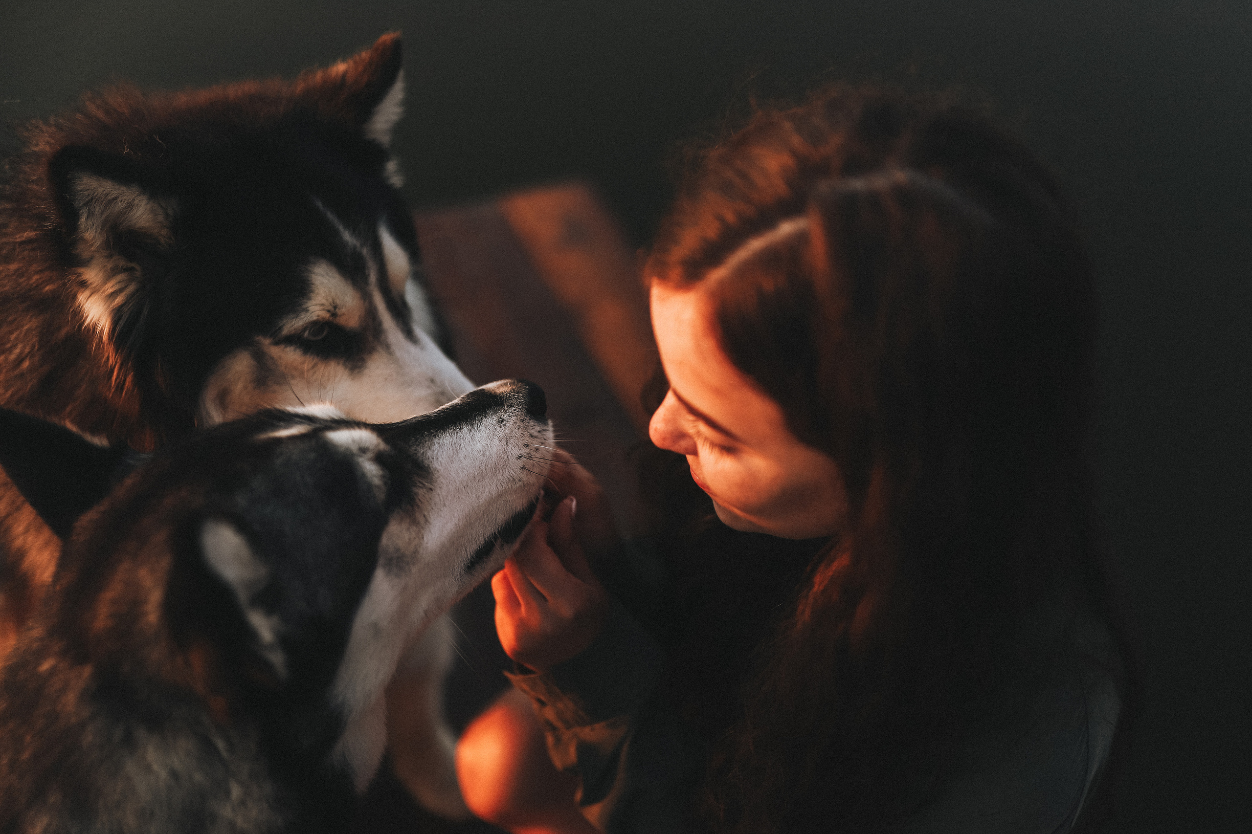 Катя на рассвете. Главная