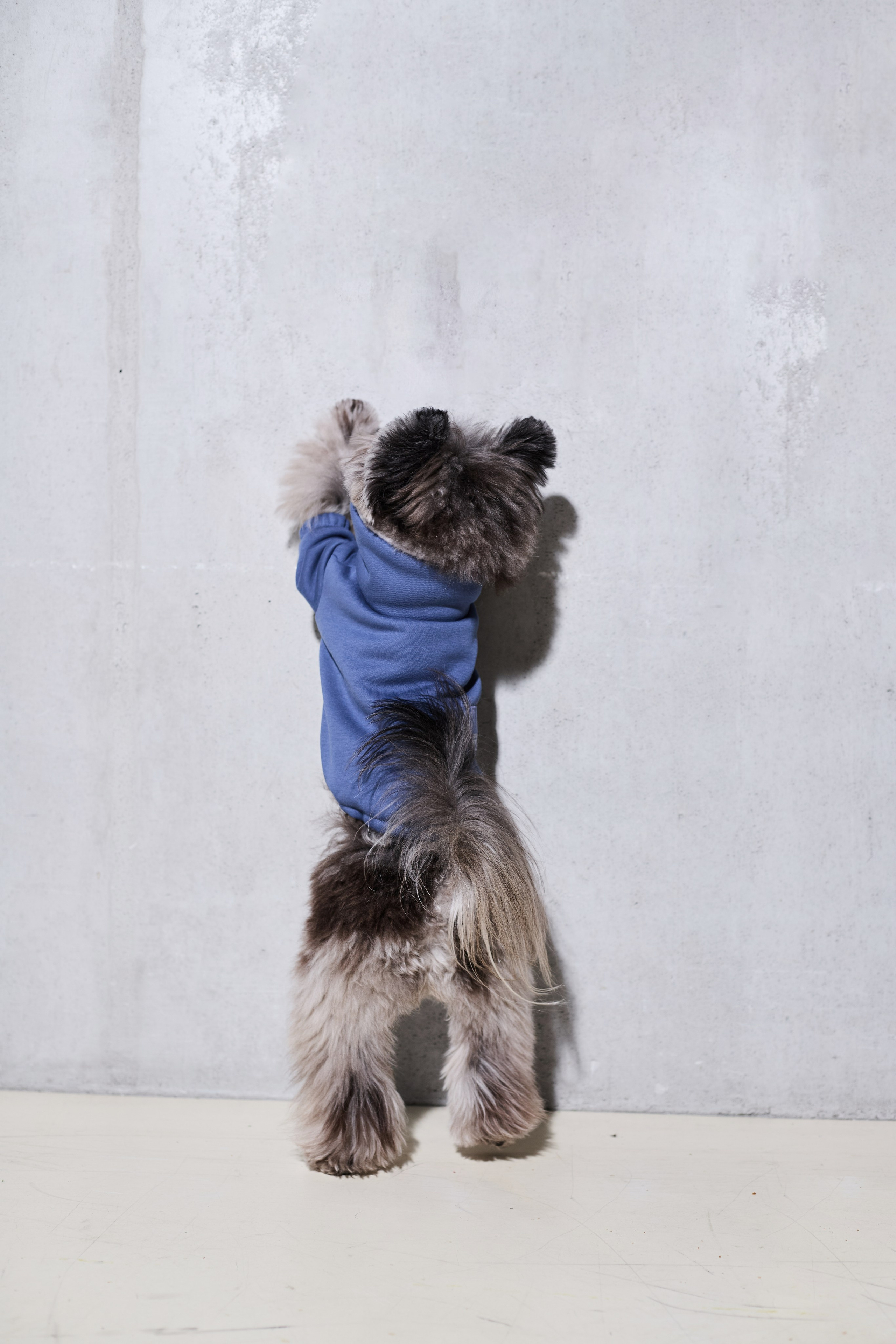 Big Lap Club. Фотограф|Москва-СПб| Анастасия Рябинина