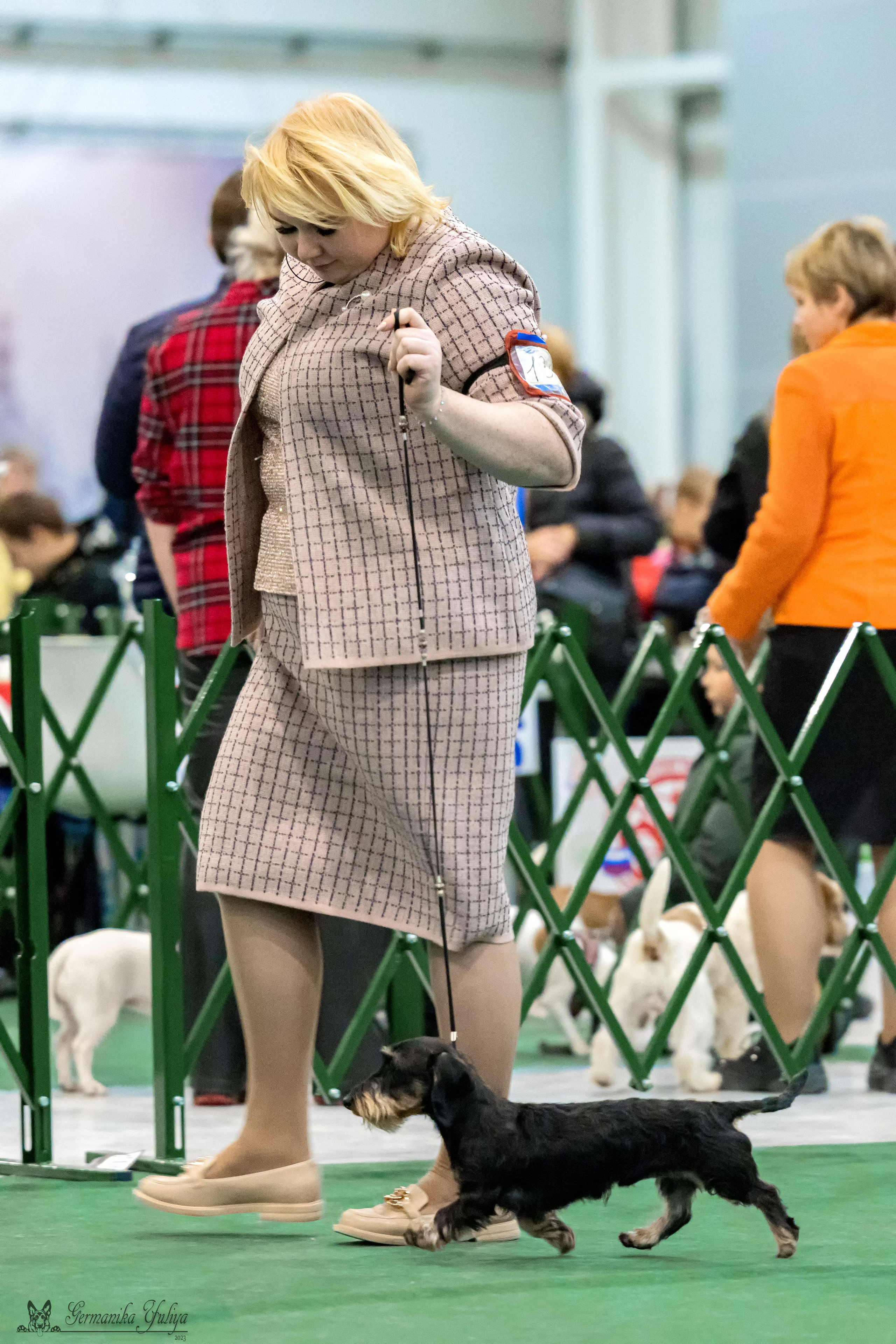 Крокус 3,9 и 10.12.2023. Фотограф-анималист Юлия Германика