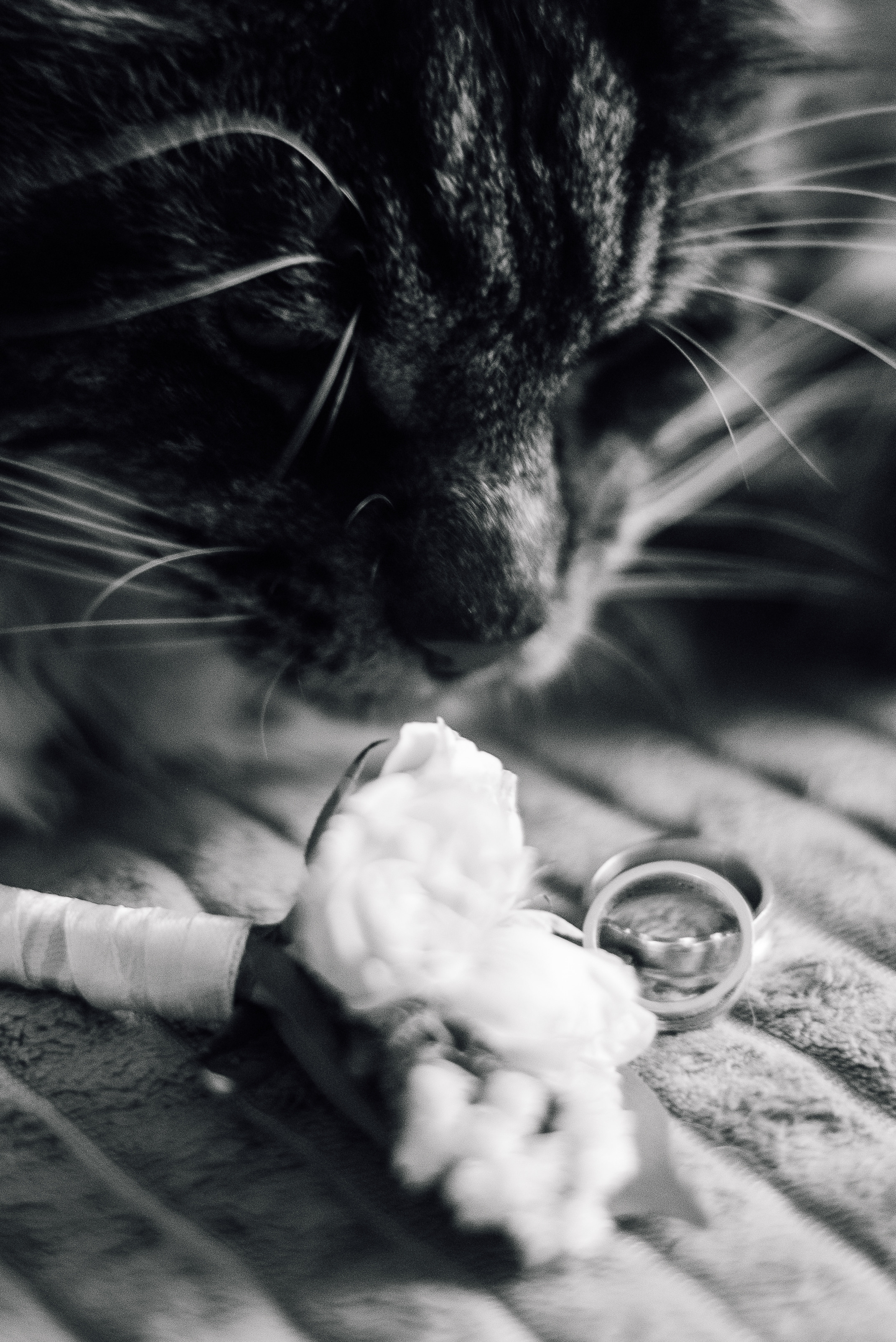 Илья и Лера, 10.09.2022. Свадебный фотограф в Сибае Елена Самарина