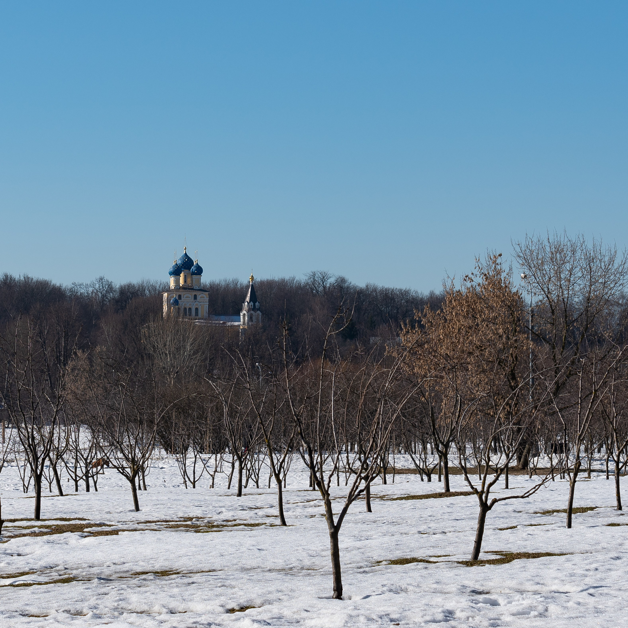 20220320 Коломенское. Дмитрий Ремизов. Фотография, как хобби