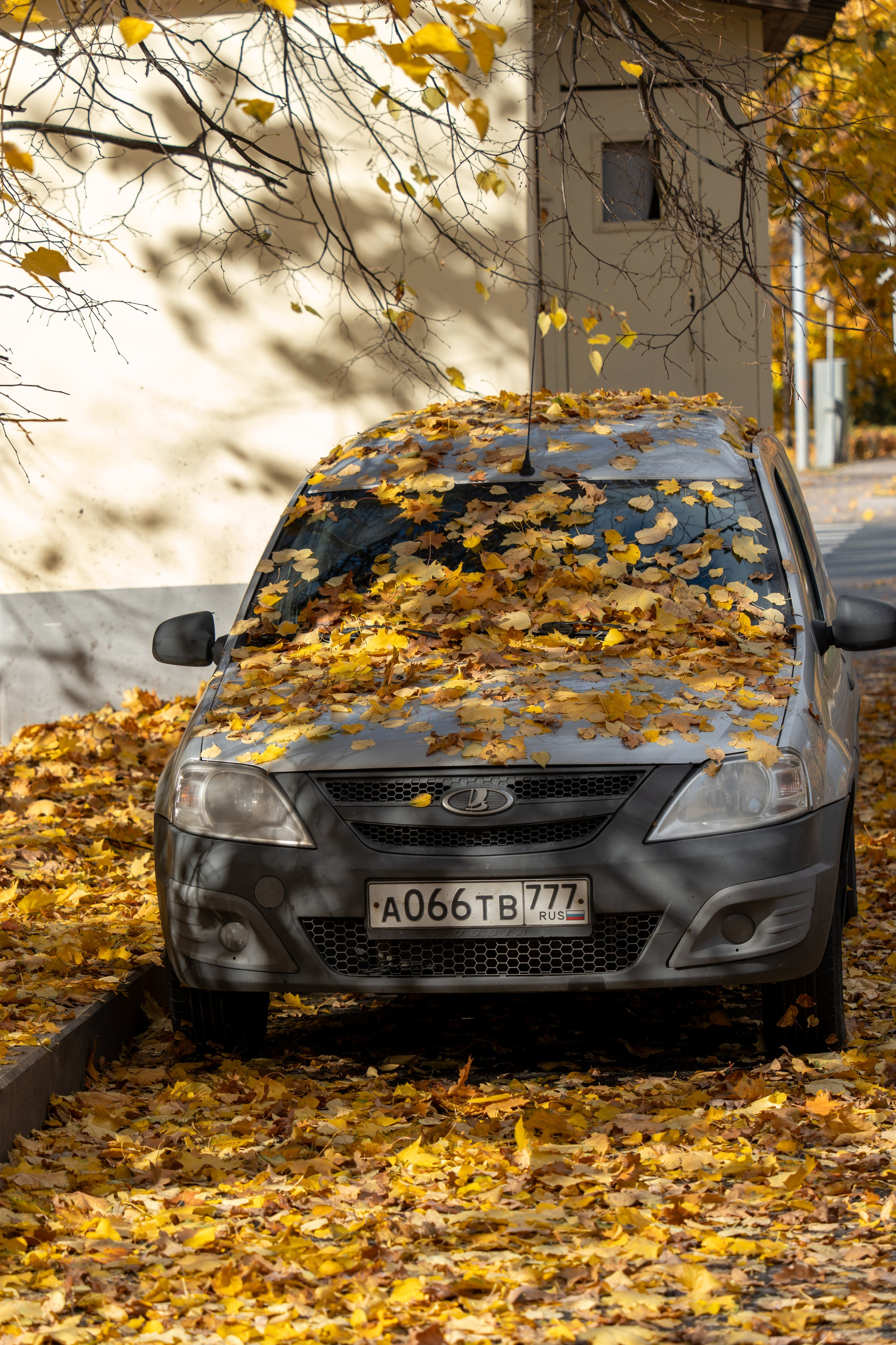 20251012 МГУ. Дмитрий Ремизов. Фотография, как хобби