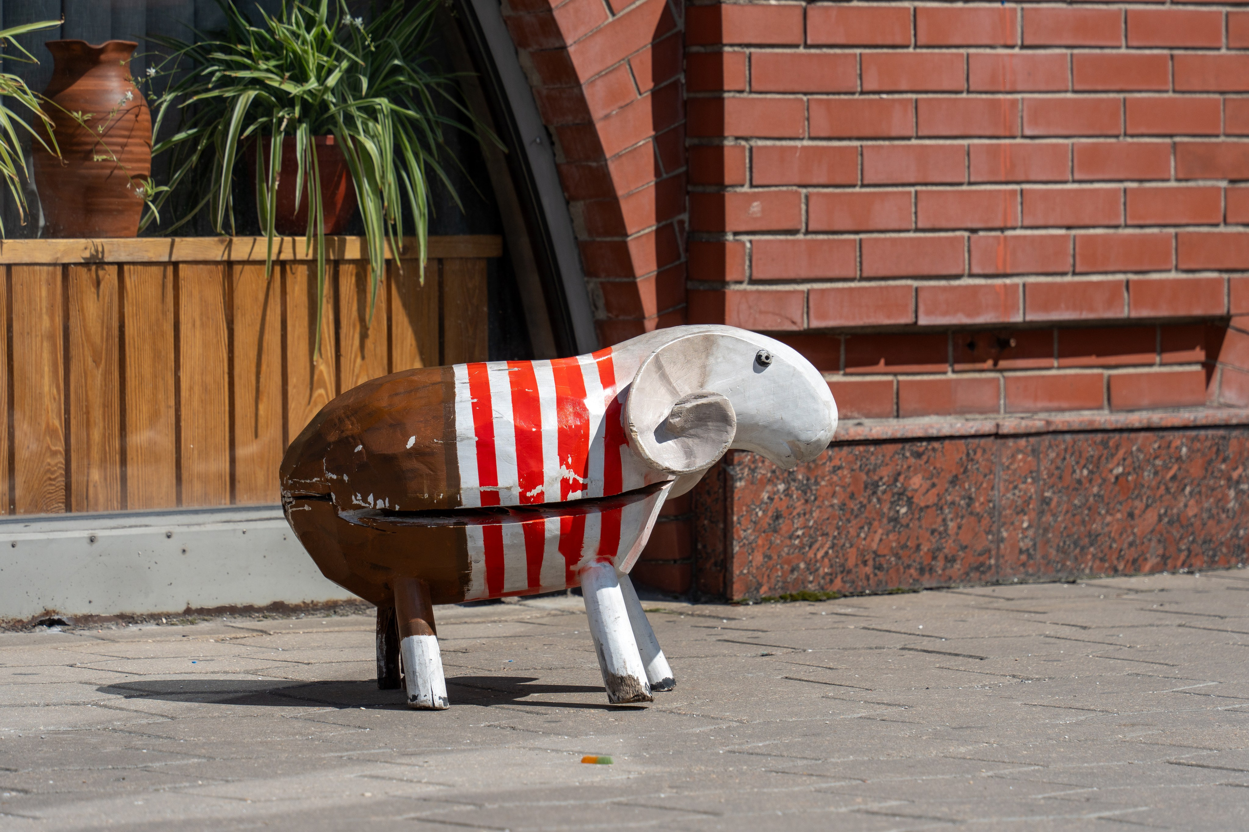 20250808 Прогулка с сыном. Дмитрий Ремизов. Фотография, как хобби