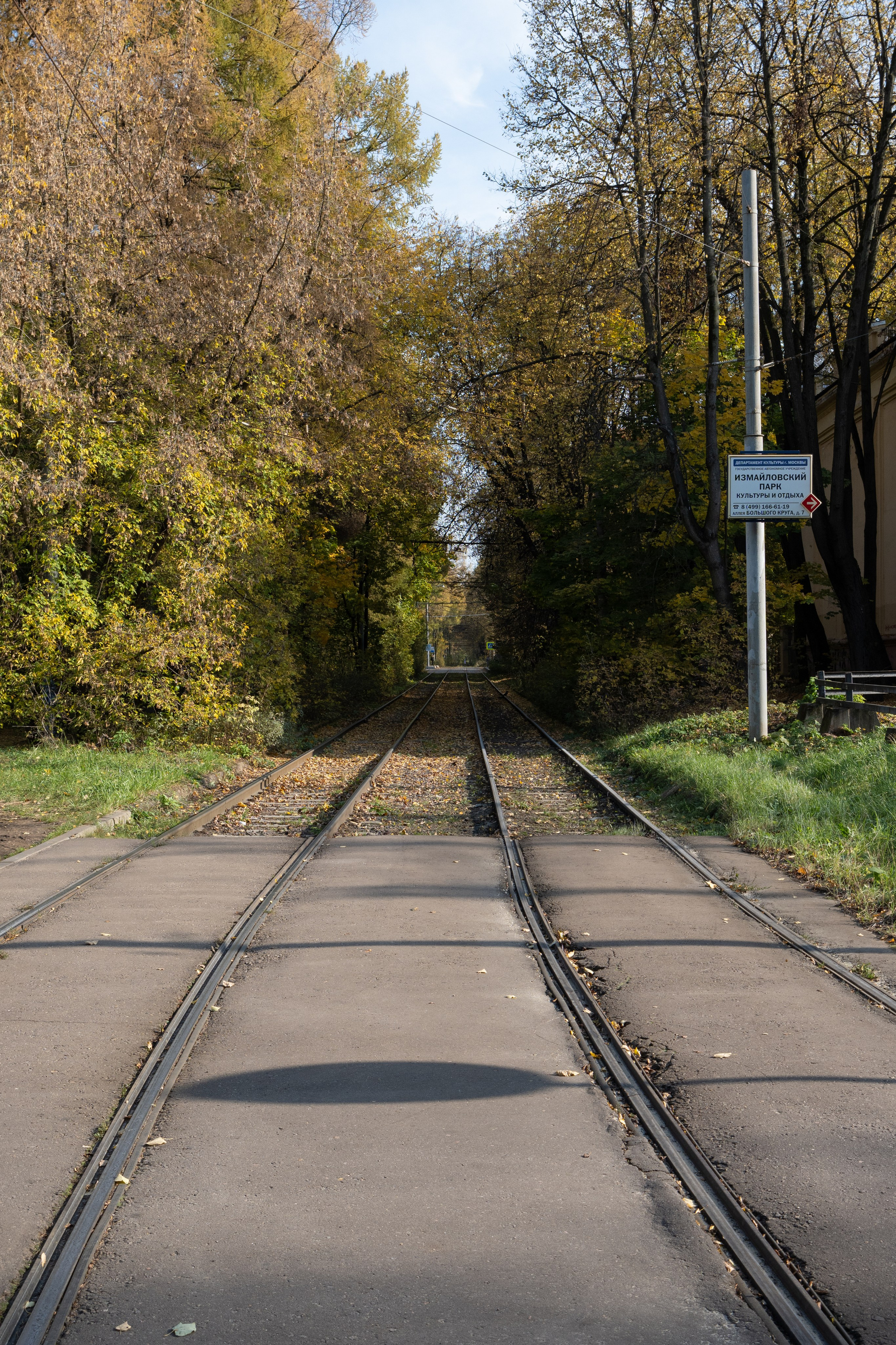 20241012 Измайлово. Дмитрий Ремизов. Фотография, как хобби
