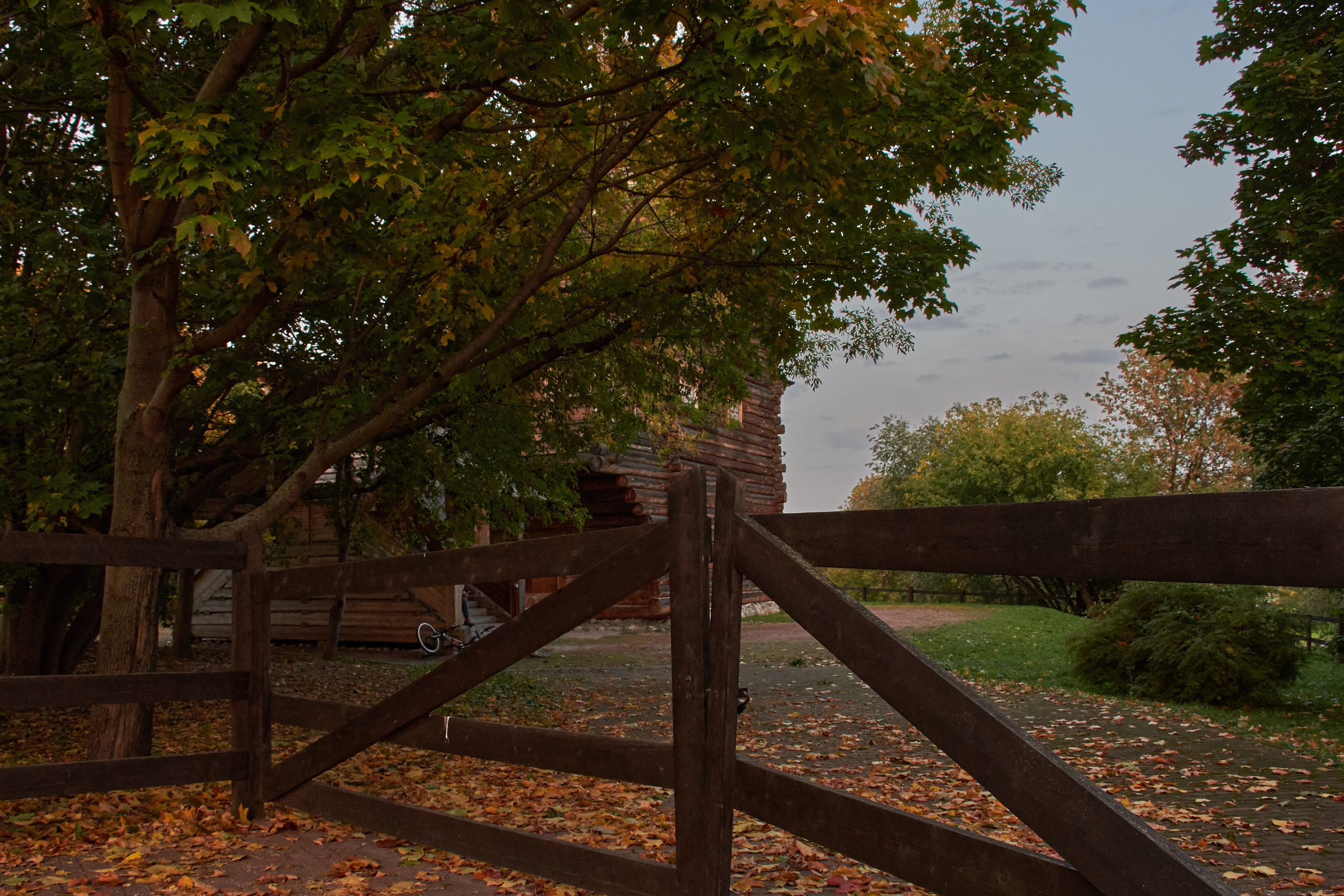 20200927 Коломенское. Дмитрий Ремизов. Фотография, как хобби