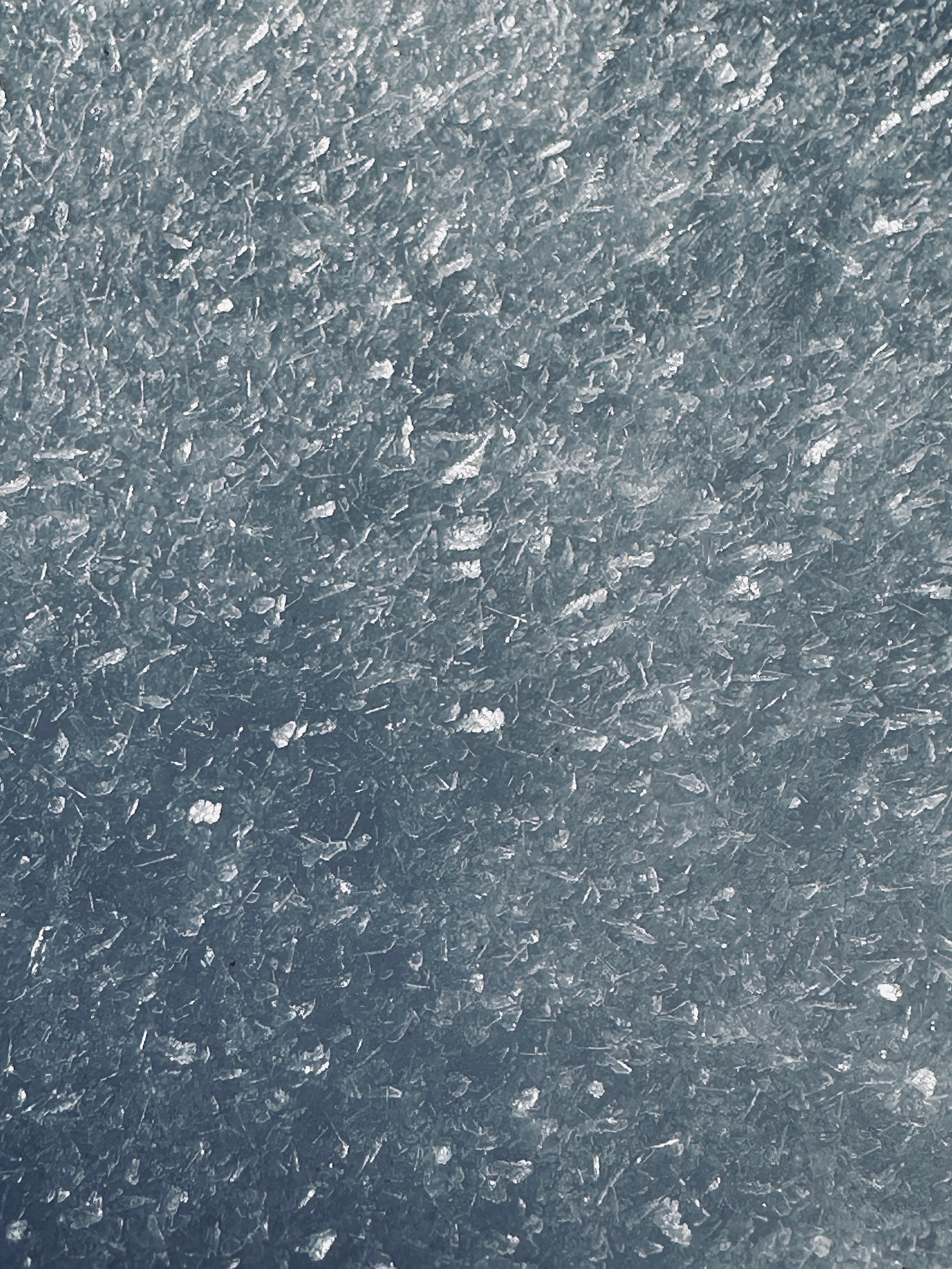 Макро любовь. Смотри, красота!