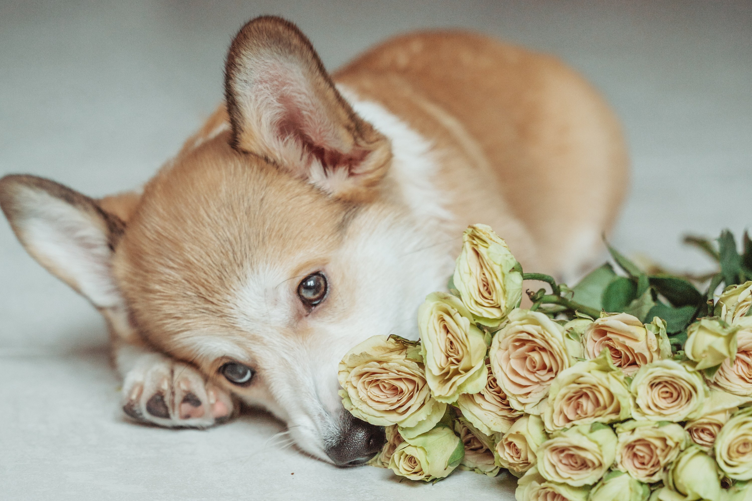 Портретный фотограф Санкт-Петербург. Свадебный, семейный, портретный, репортажный фотограф в Санкт-Петербурге
