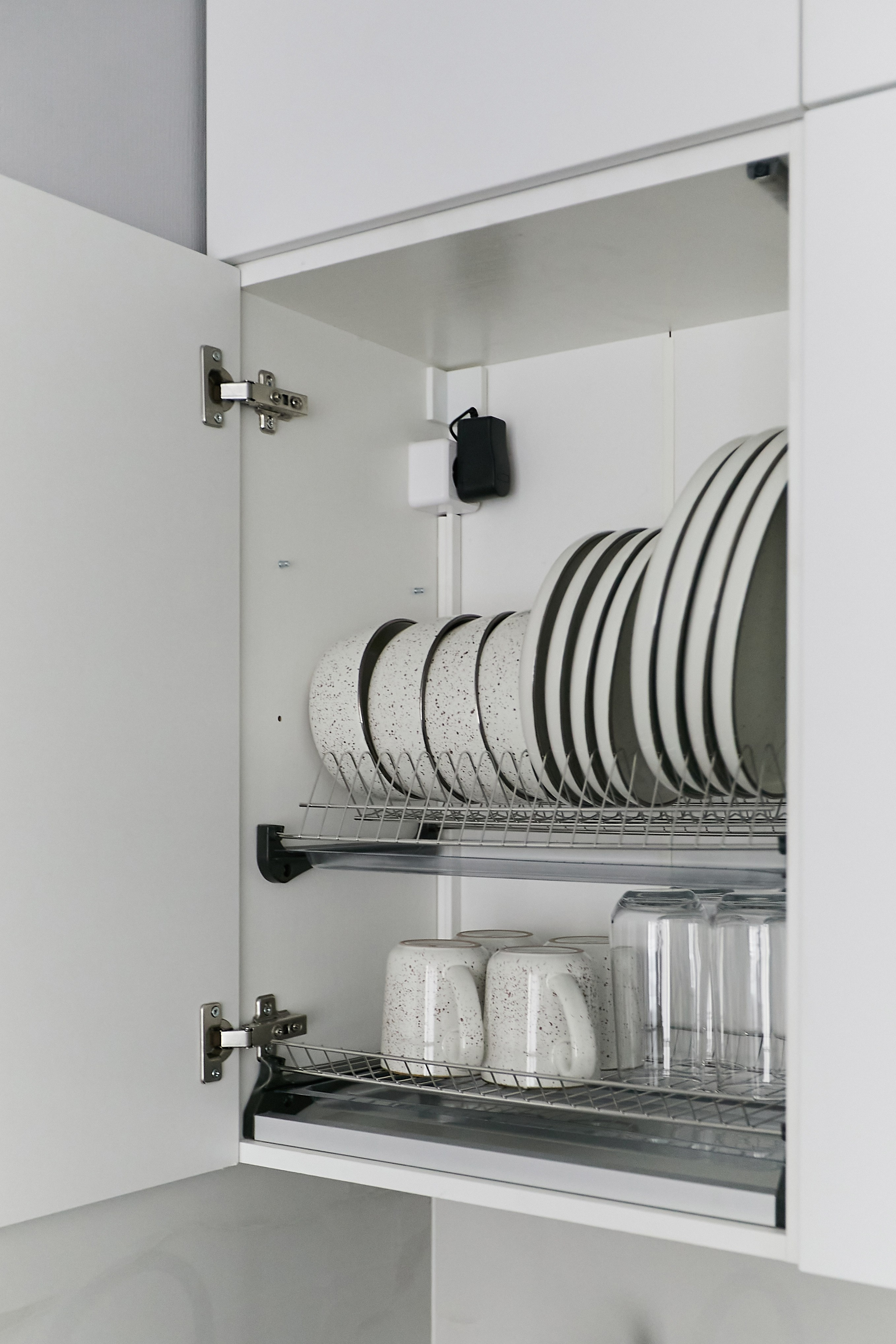 Глоракс Заневский. Главная