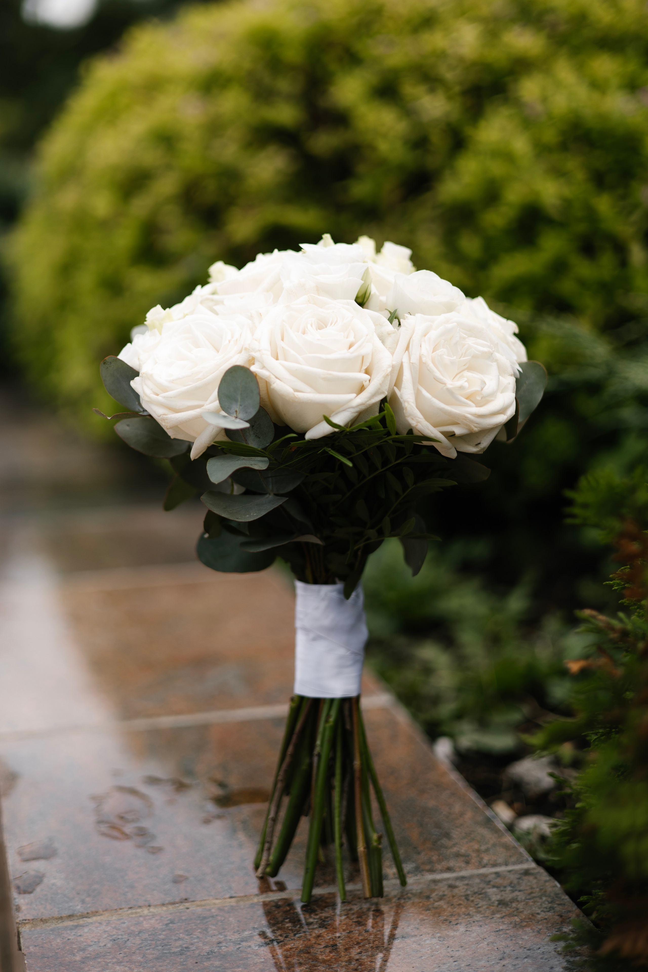 Свадьбы. Мария Овечкина