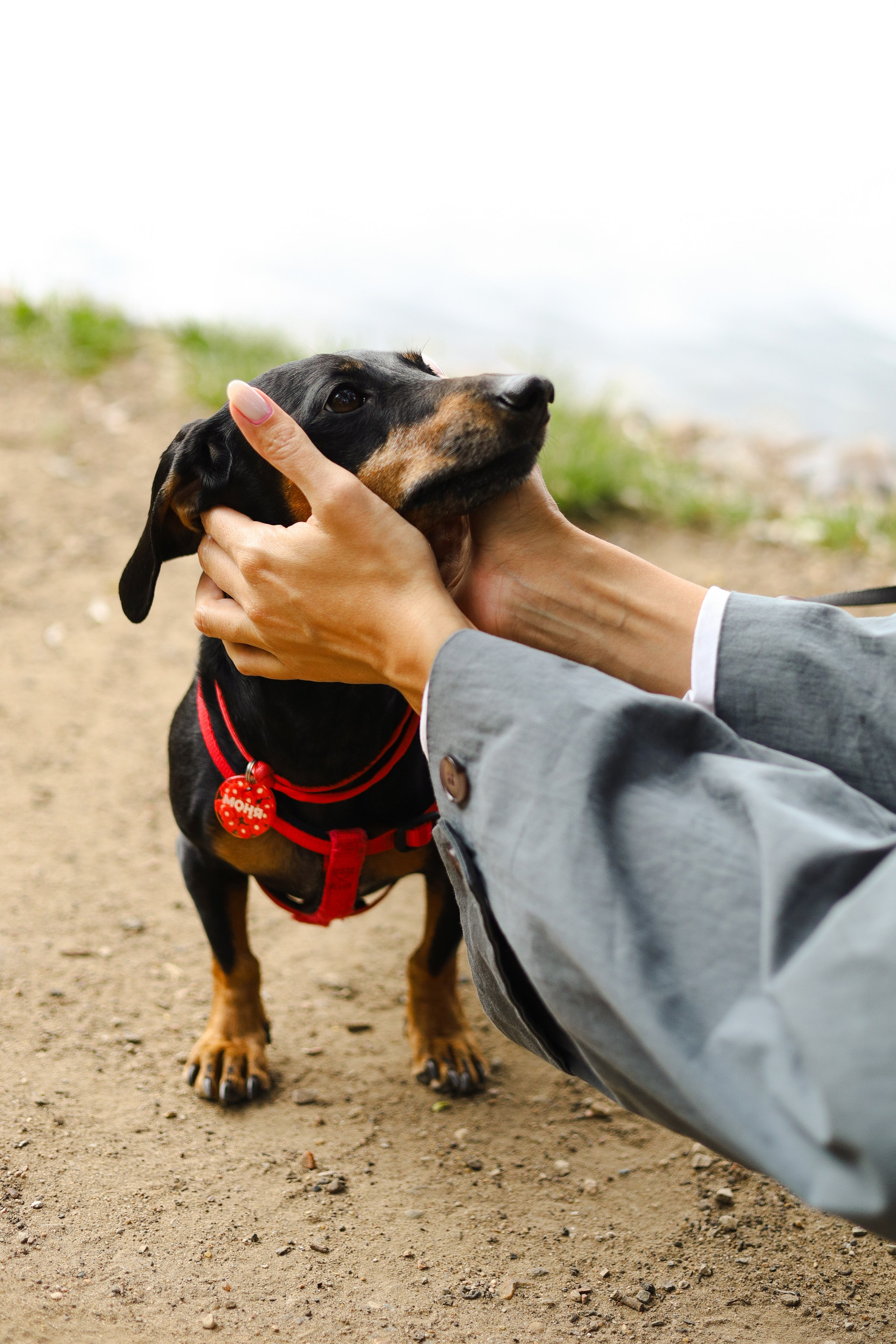 Моня и Оля. Фотограф-анималист Ксения Шевцова|Москва