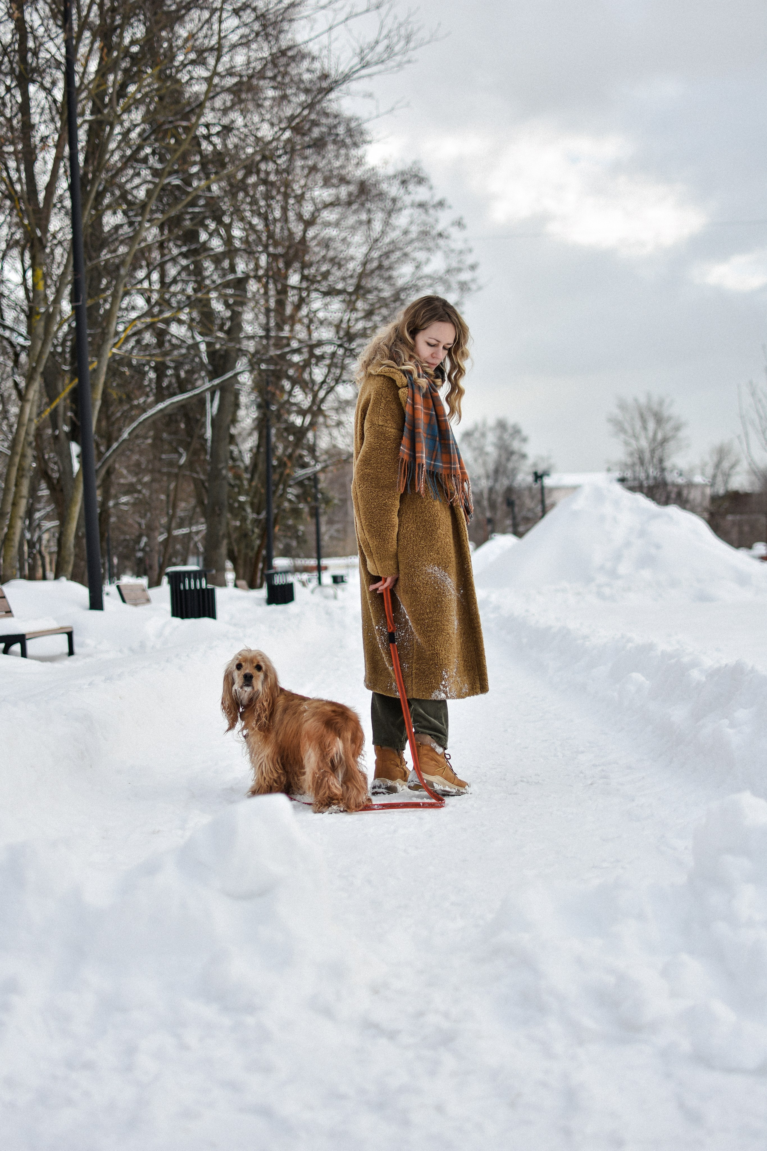 Мира и Даша. Фотограф-анималист Ксения Шевцова|Москва