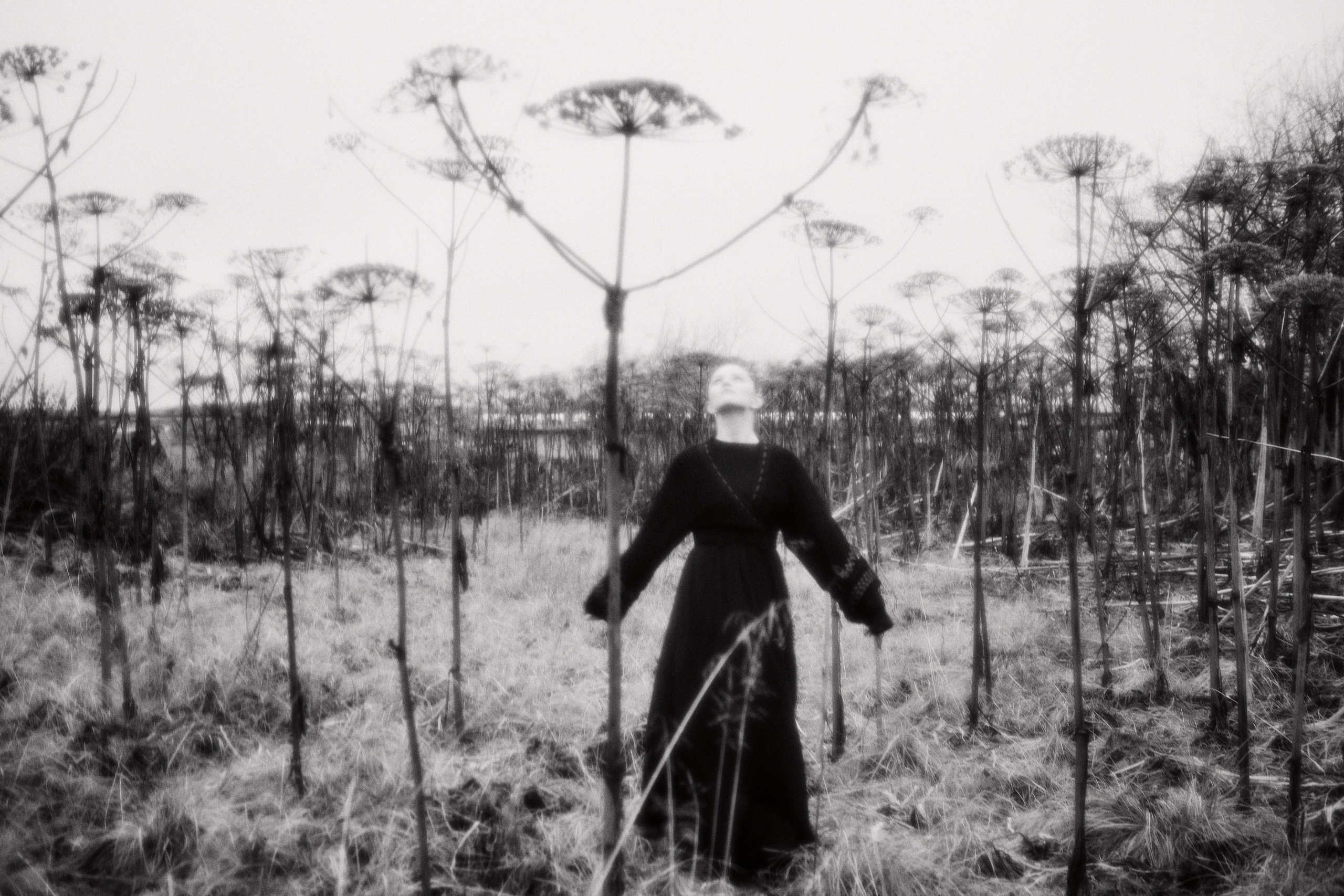 Hogweed. Fashion Photographer Oxana Chernomorets