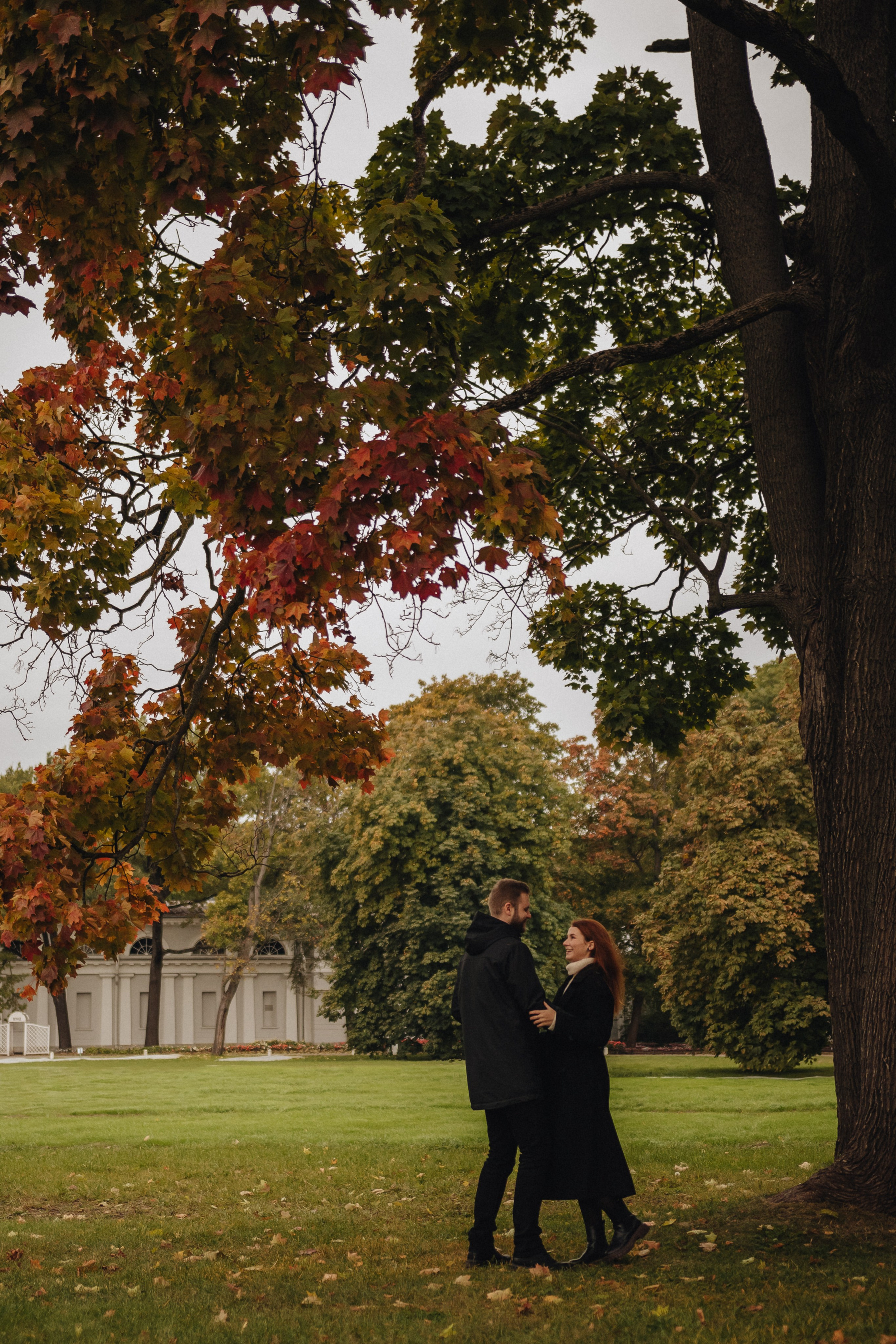 Антон и Алиса. Главная