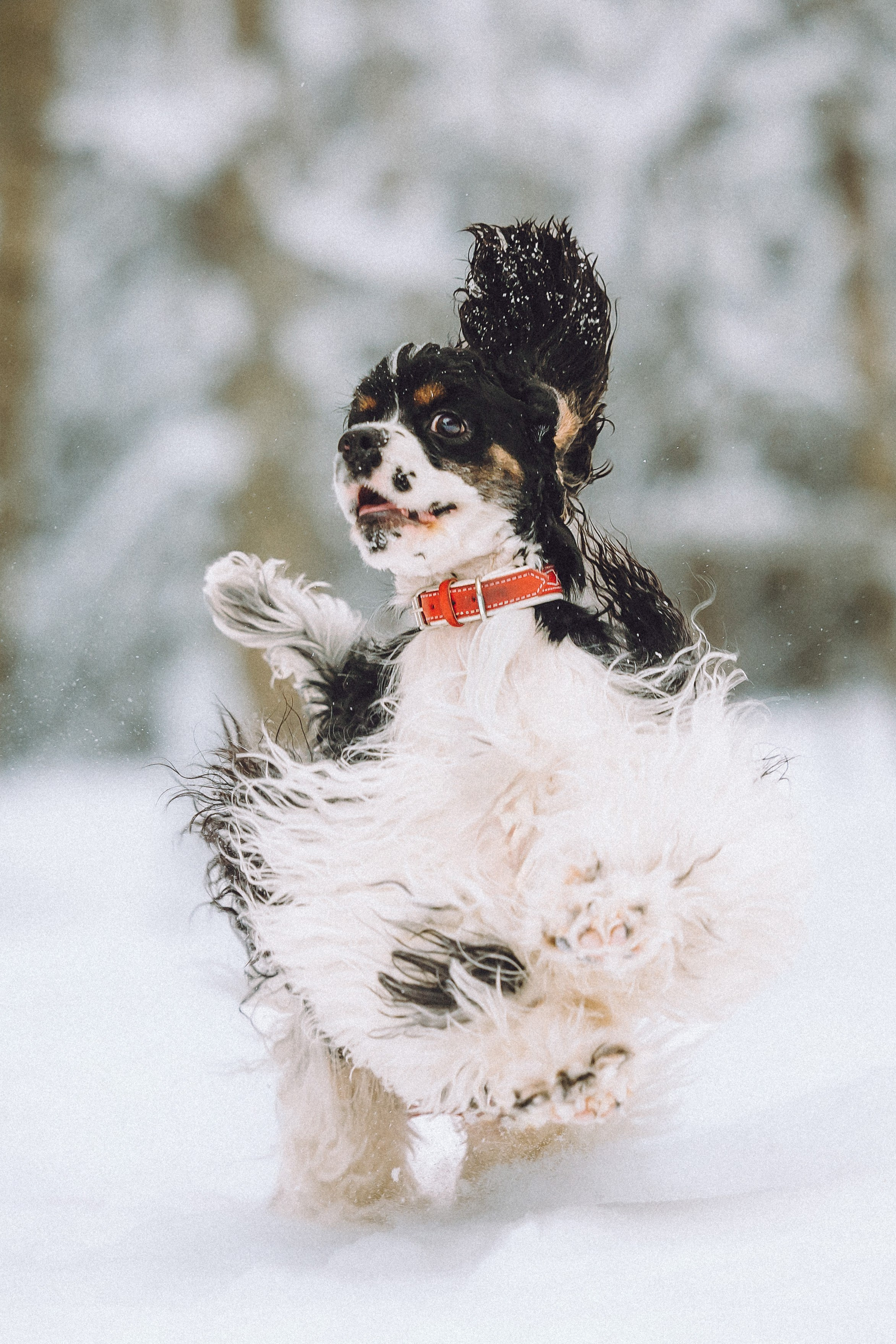 Ольга и Патрик