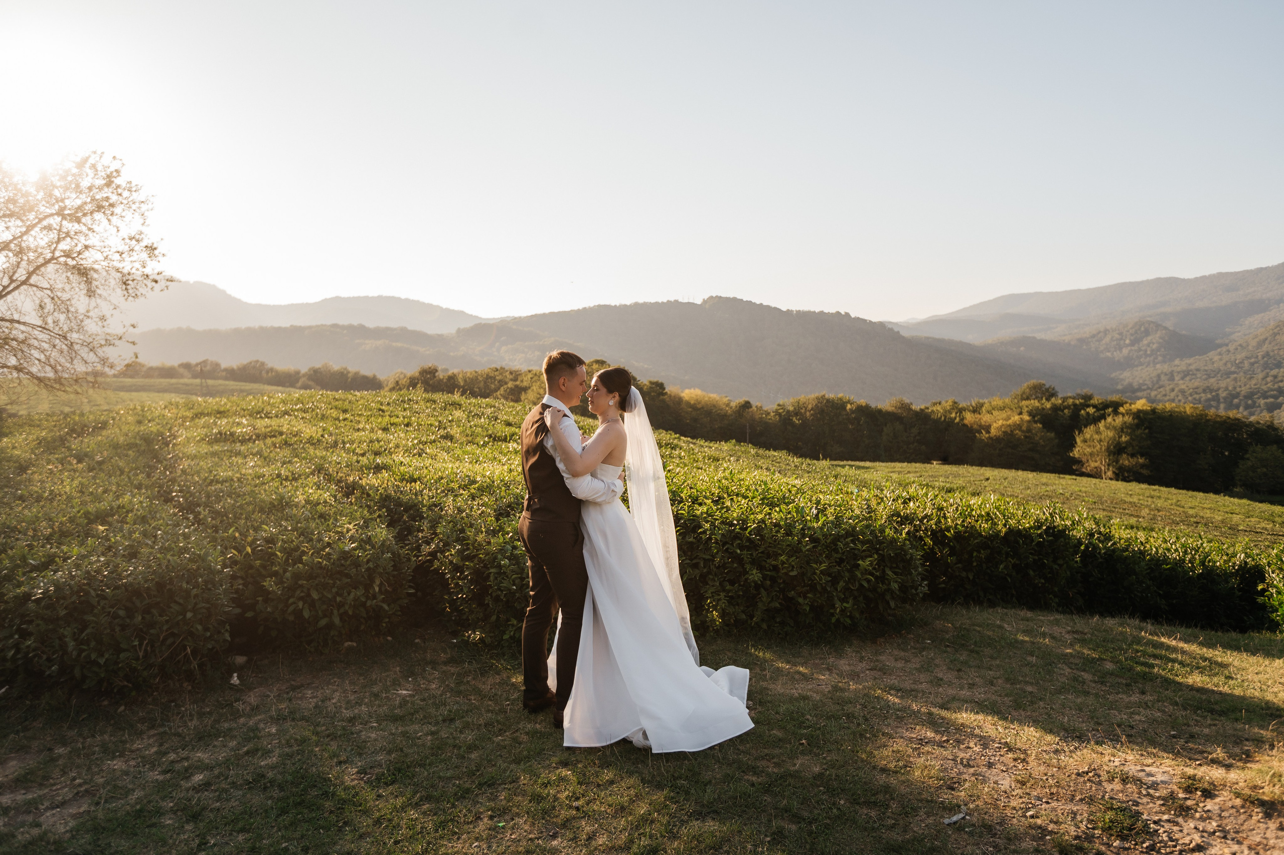 Даниил и Анастасия. Фотограф в Сочи. Свадебная видеосъемка Сочи