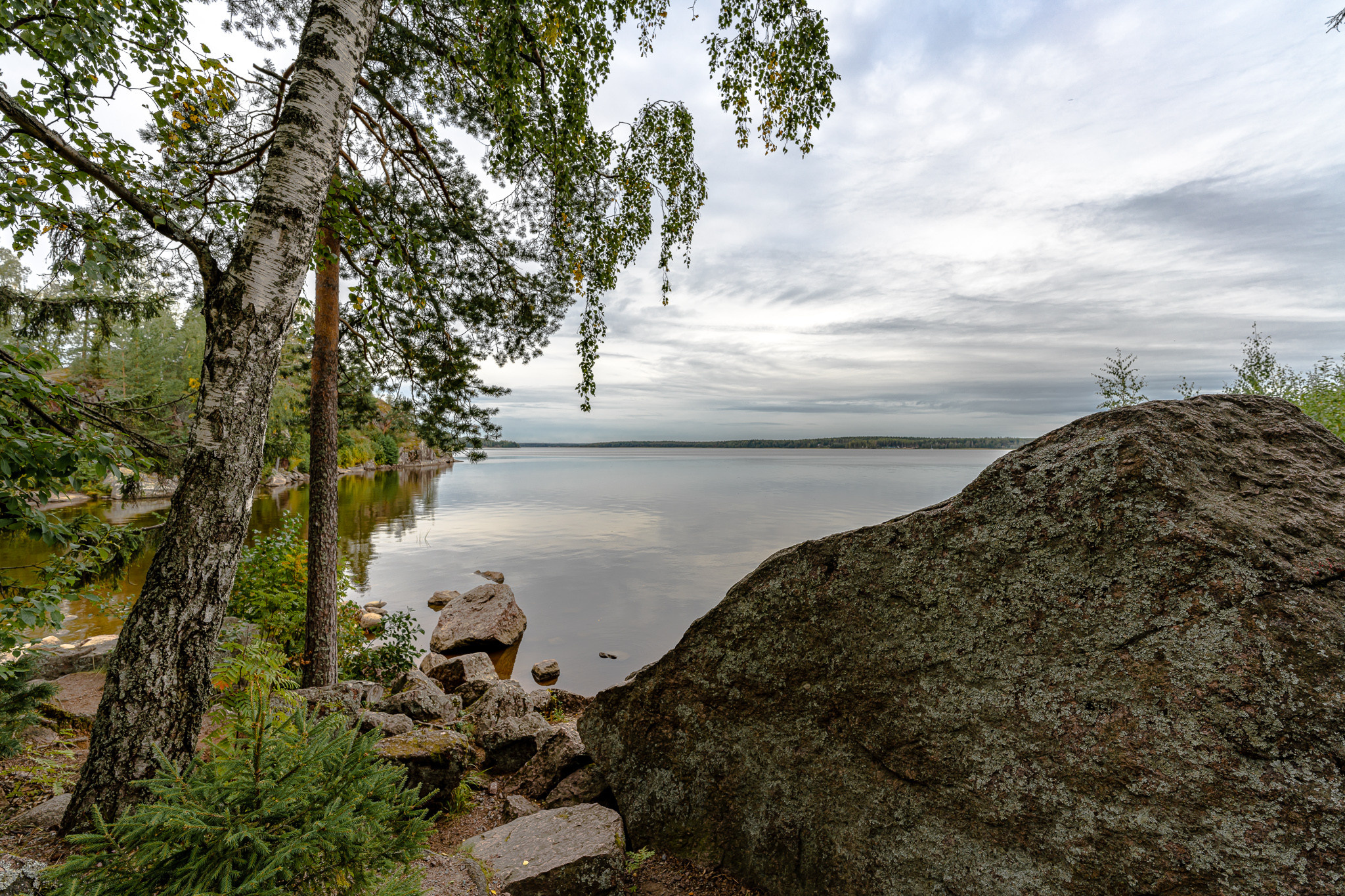Парк Монрепо в Выборге