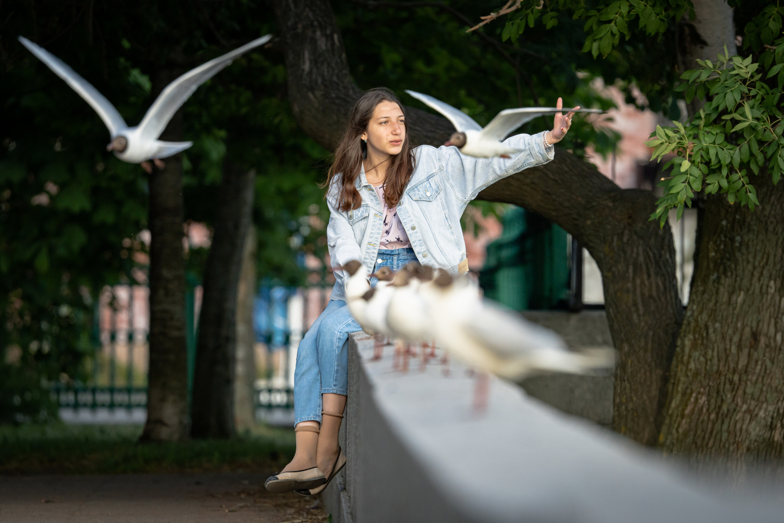 Девушка и чайки в Кронштадте