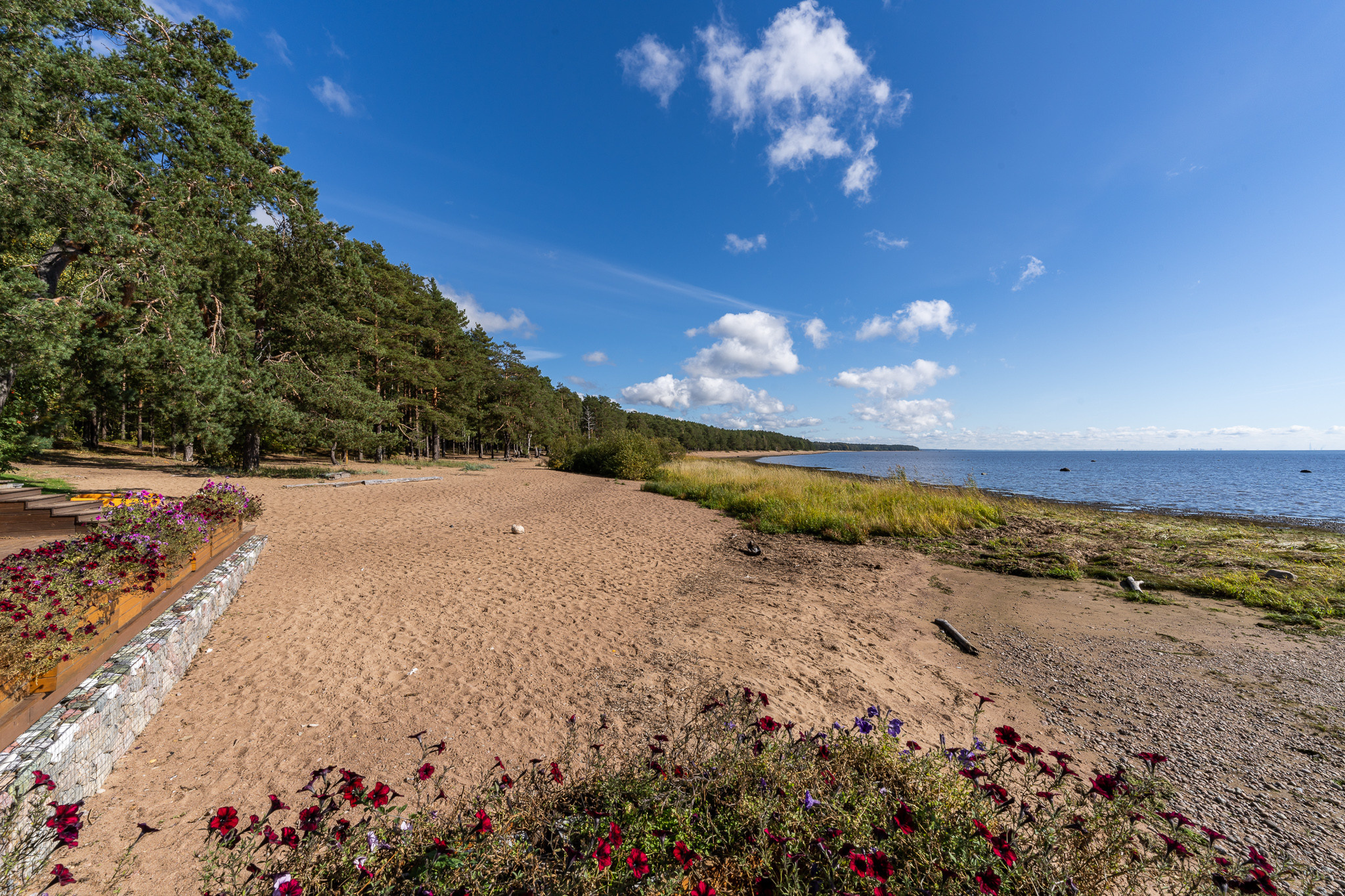 Берез Финского залива у ресторана "Ель" на Приморском шоссе