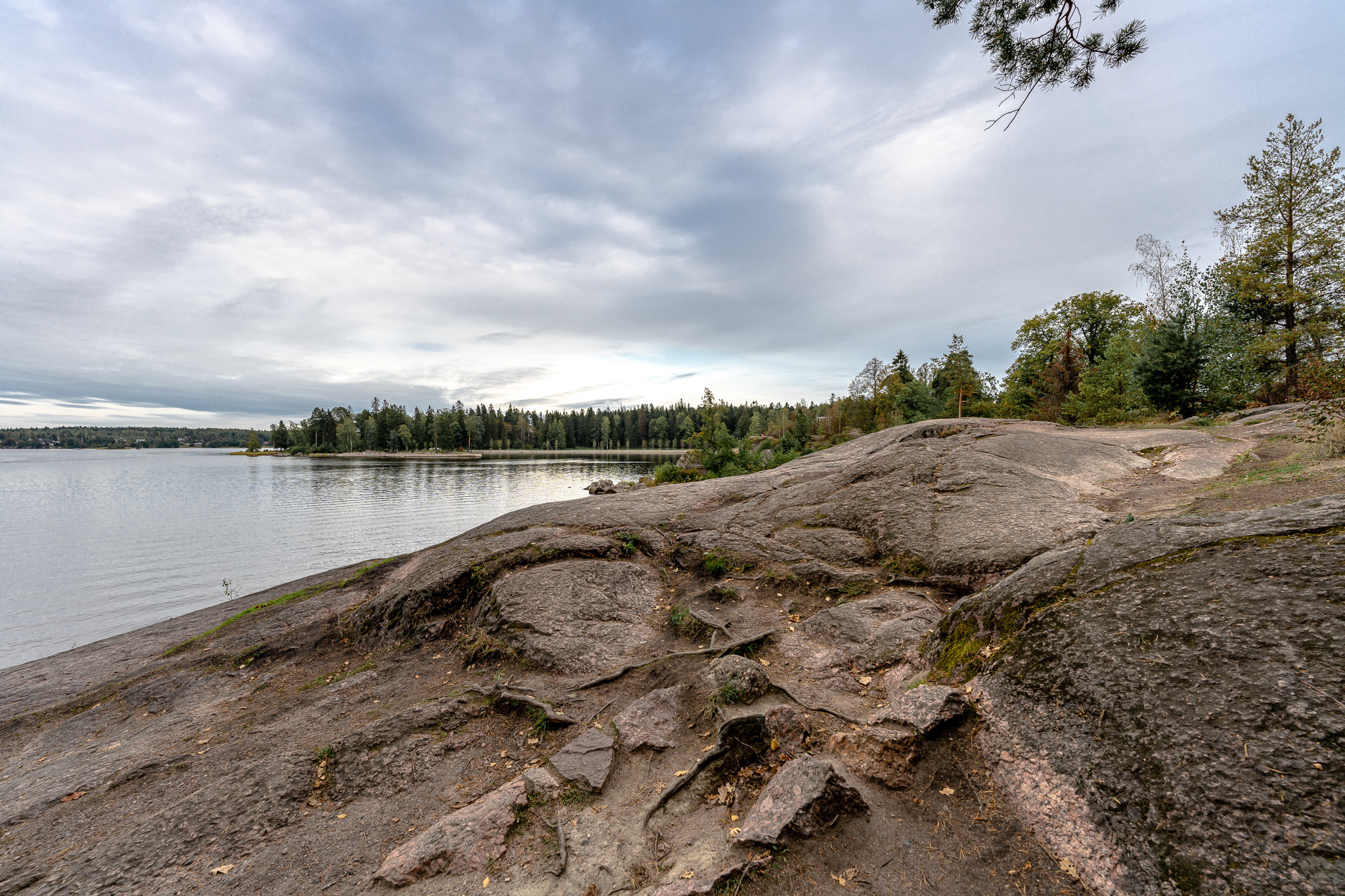 Парк Монрепо в Выборге