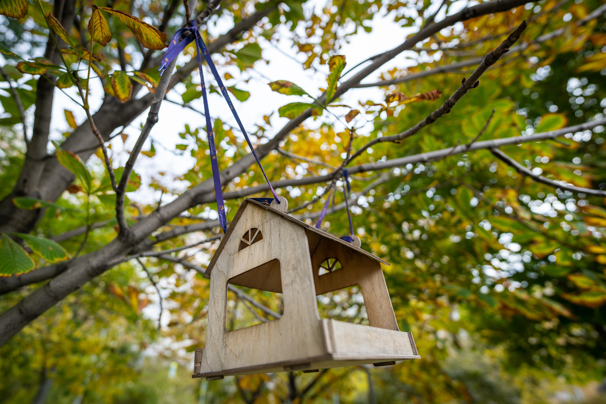 Деревянный скворечник висит на дереве с осенней листвой