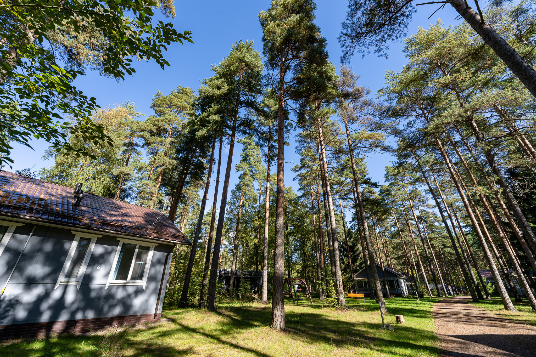 База Искатель в Молодёжном на Приморском шоссе под Питером
