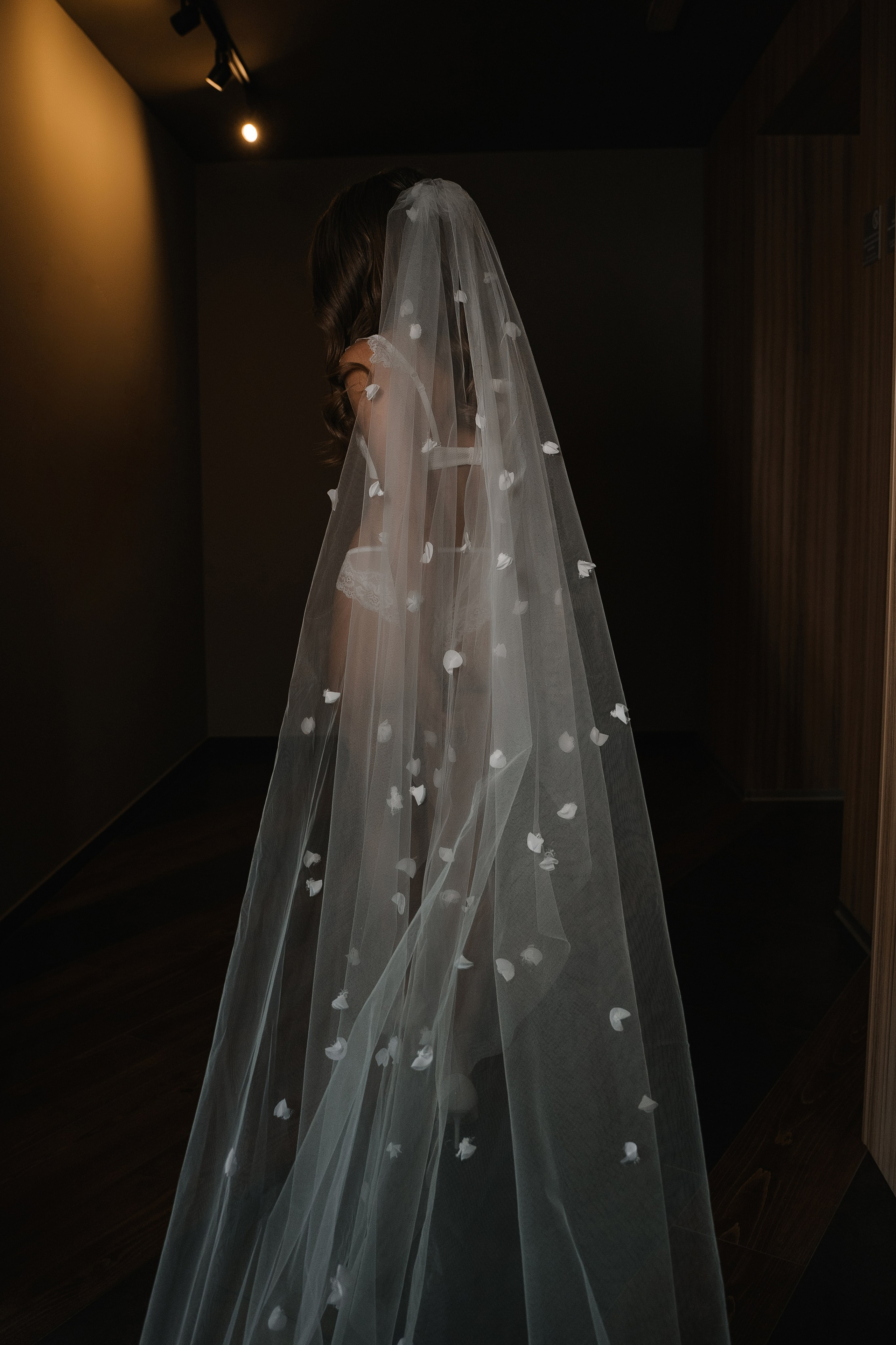 Алена и Владимир. Дмитрий Зайцев свадебный фотограф Тамбов