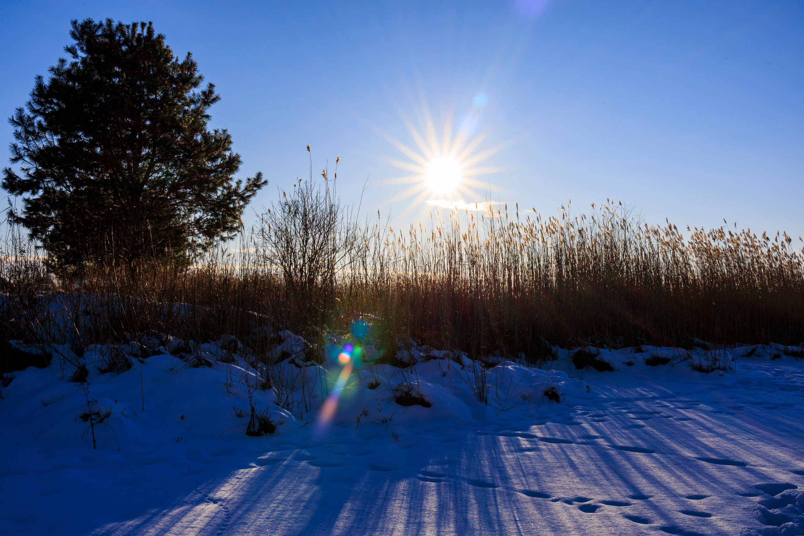 Авторская фотография и эстетика Петербурга | Роман Карбышев. Репортажный фотограф | Снимки за 3 дня | СПБ и ЛО