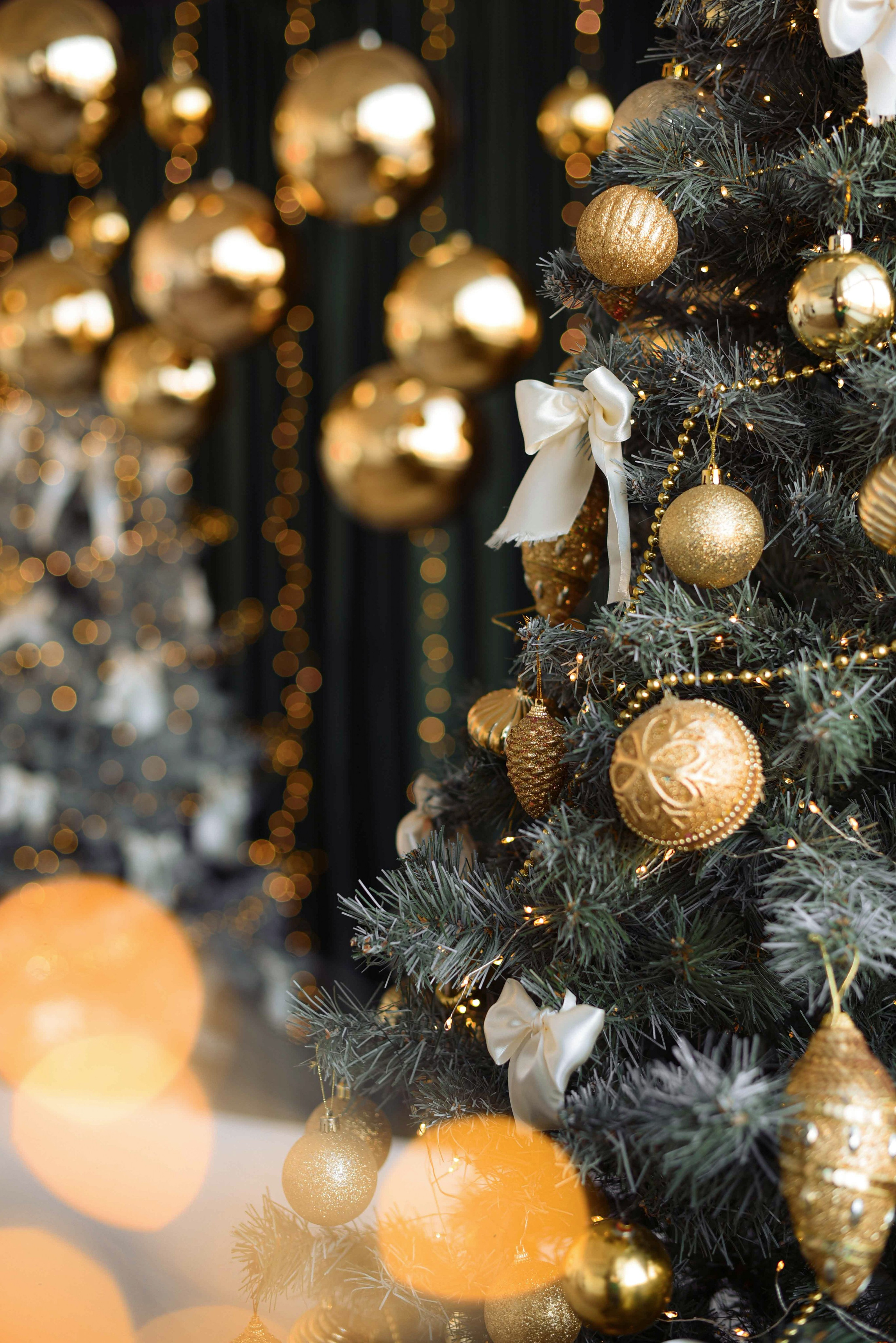 Зал LIGHT * NY 2026. Фотостудия Элис