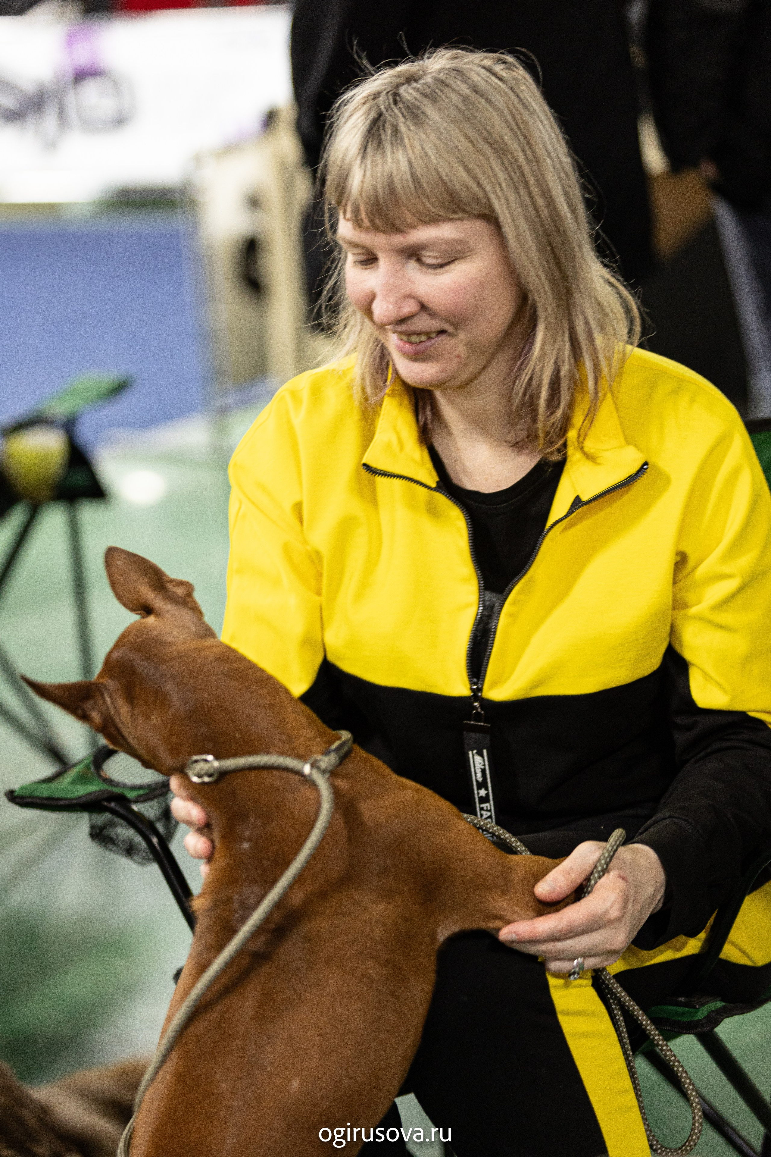 РОО КЛЖ «Олимп"+"Империя"+"Виктория».Выставка собак. Фотограф Ольга Гирусова «Пантерочка» Москва