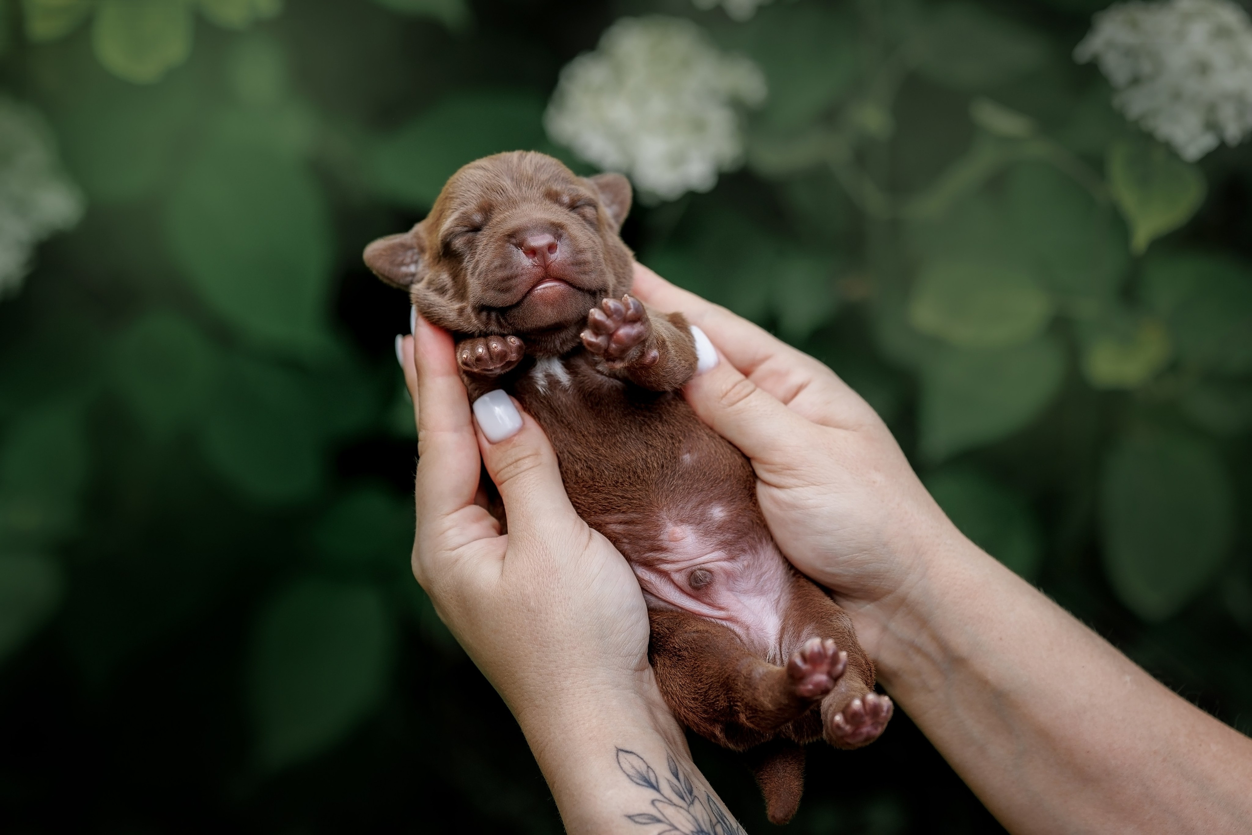 Анималистика. Репортажный фотограф Мария Мадзик