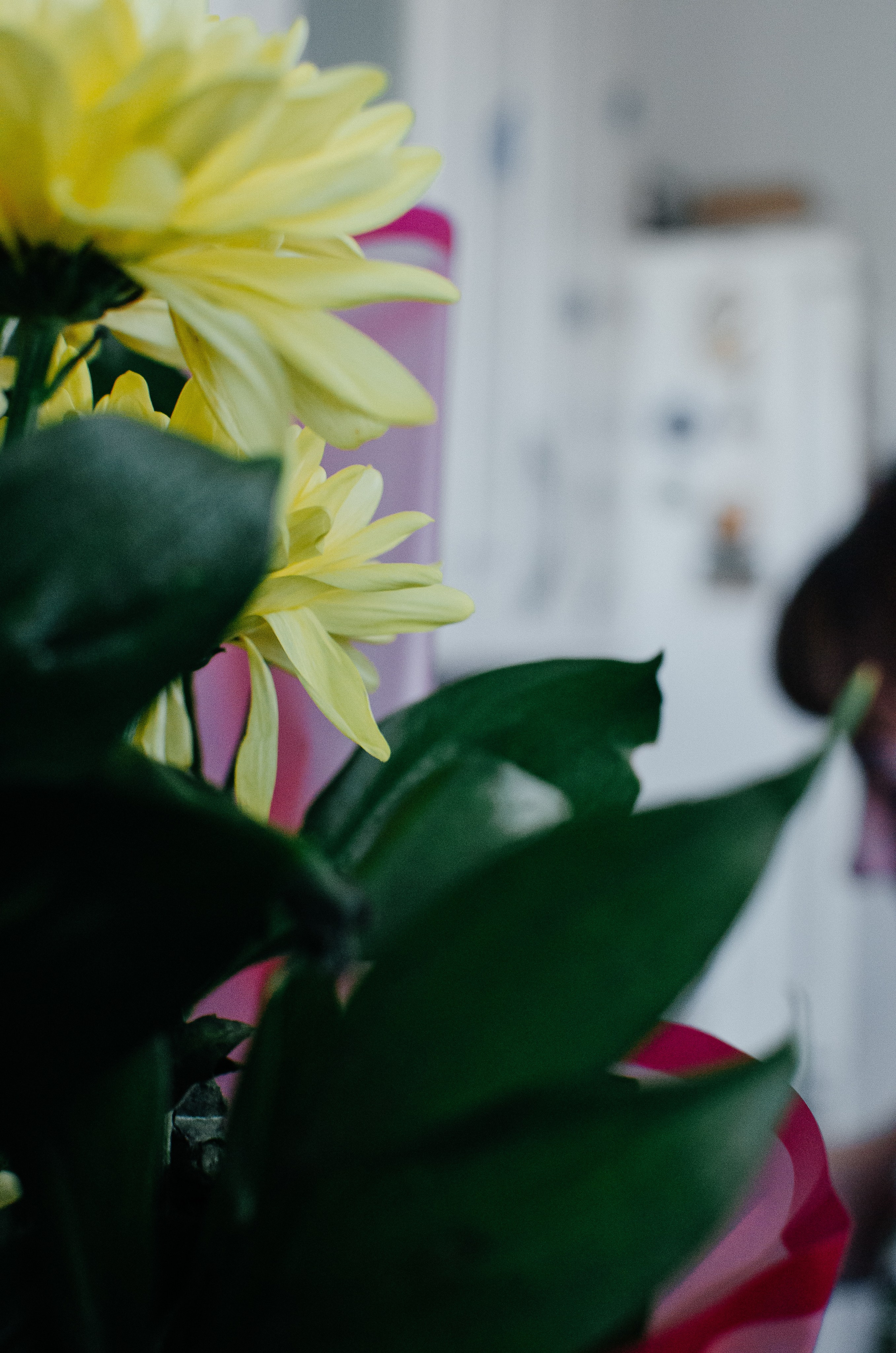 Наталья (семья)