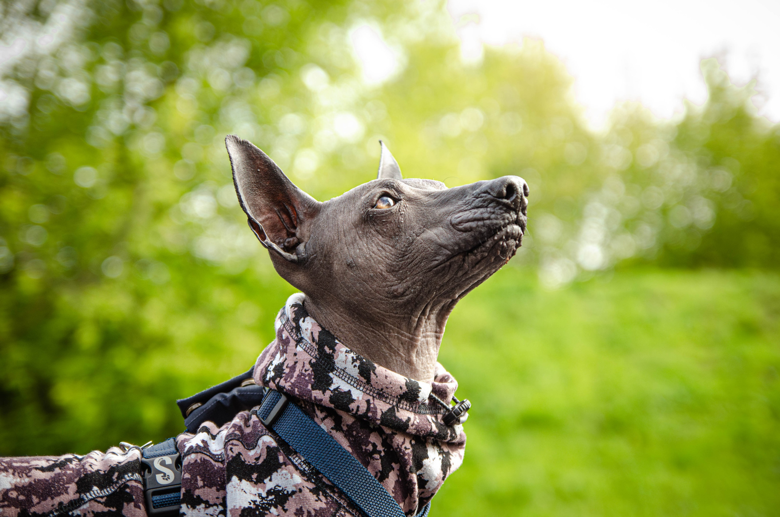 Сёма. Фотограф Светлана Блинова, Москва и Московская область