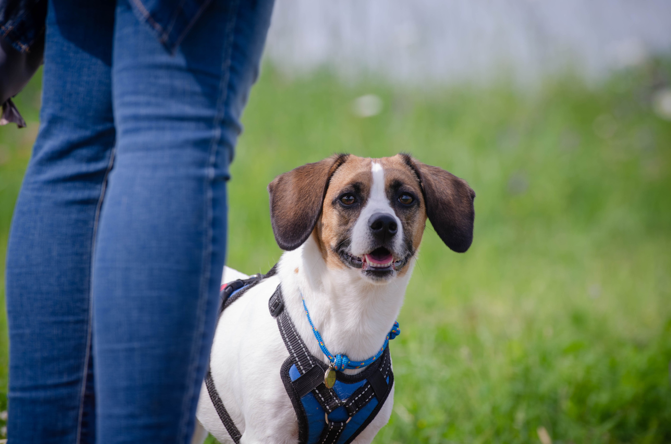 Прогулка (Лохин остров). Фотограф Светлана Блинова, Москва и Московская область