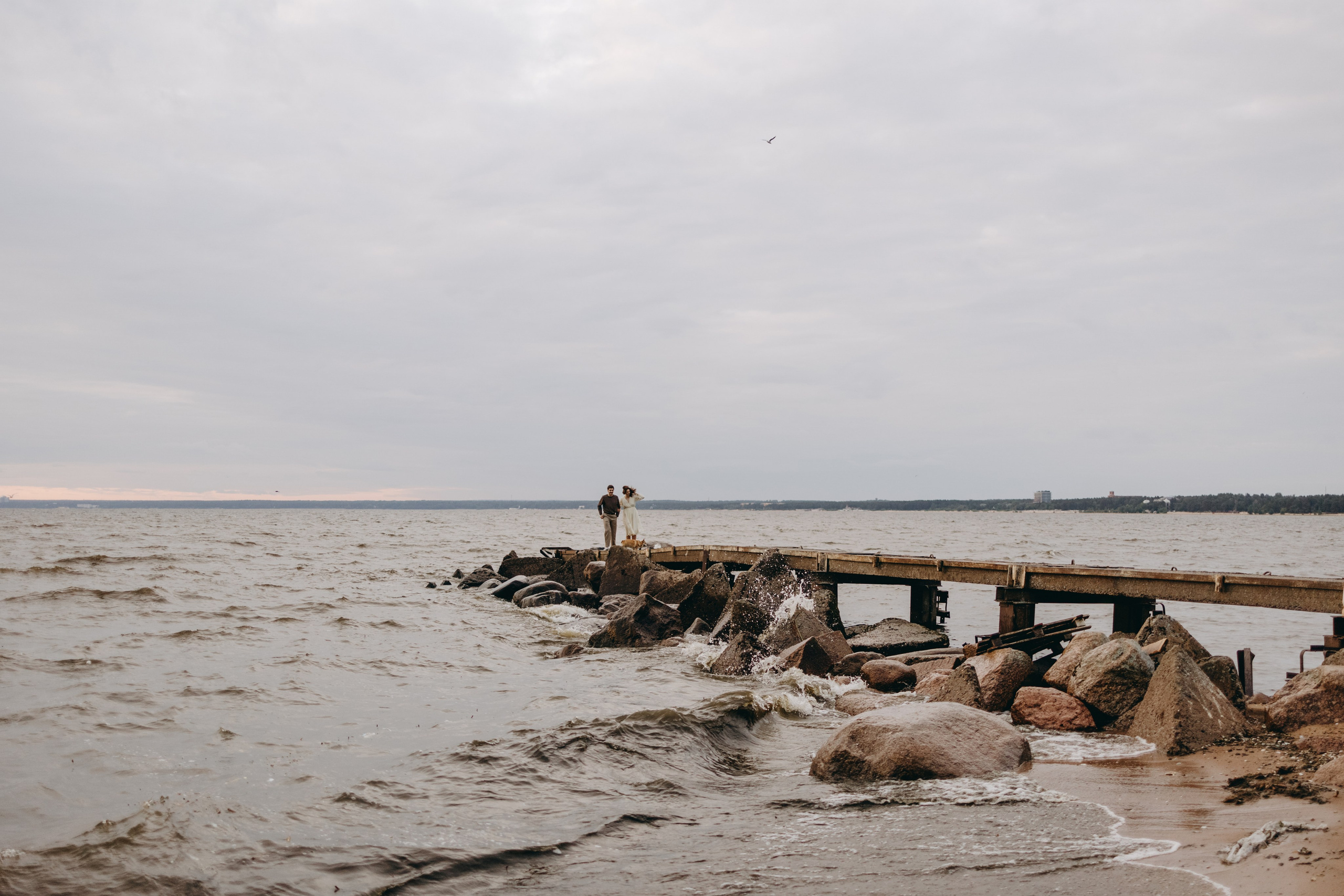 Лотти и ее семья. Фотограф — Анималист | Санкт-Петербург