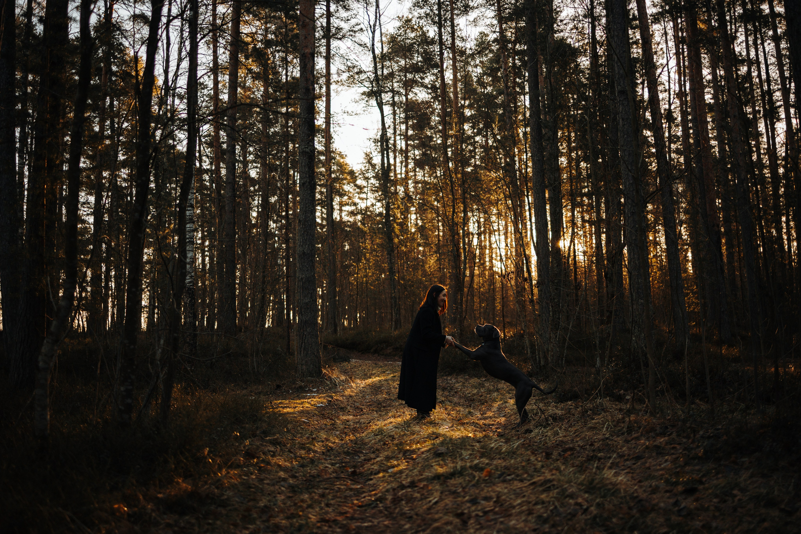 Анна и Лана. Фотограф — Анималист | Санкт-Петербург