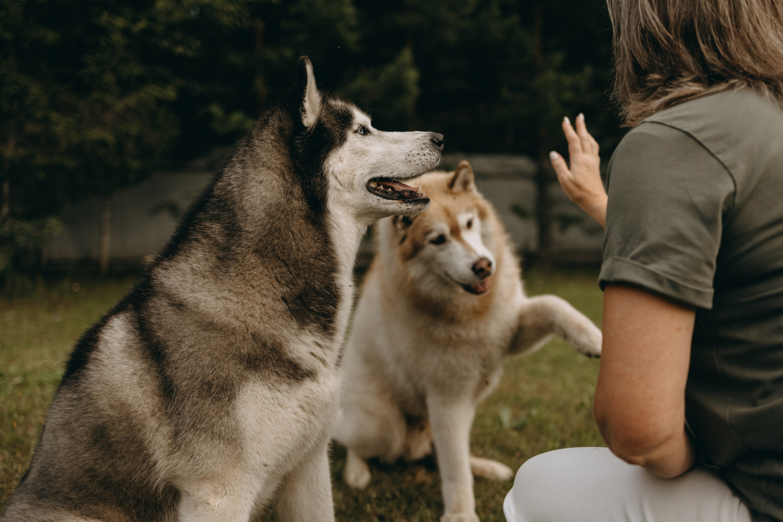 Дом у реки. Фотограф — Анималист | Санкт-Петербург