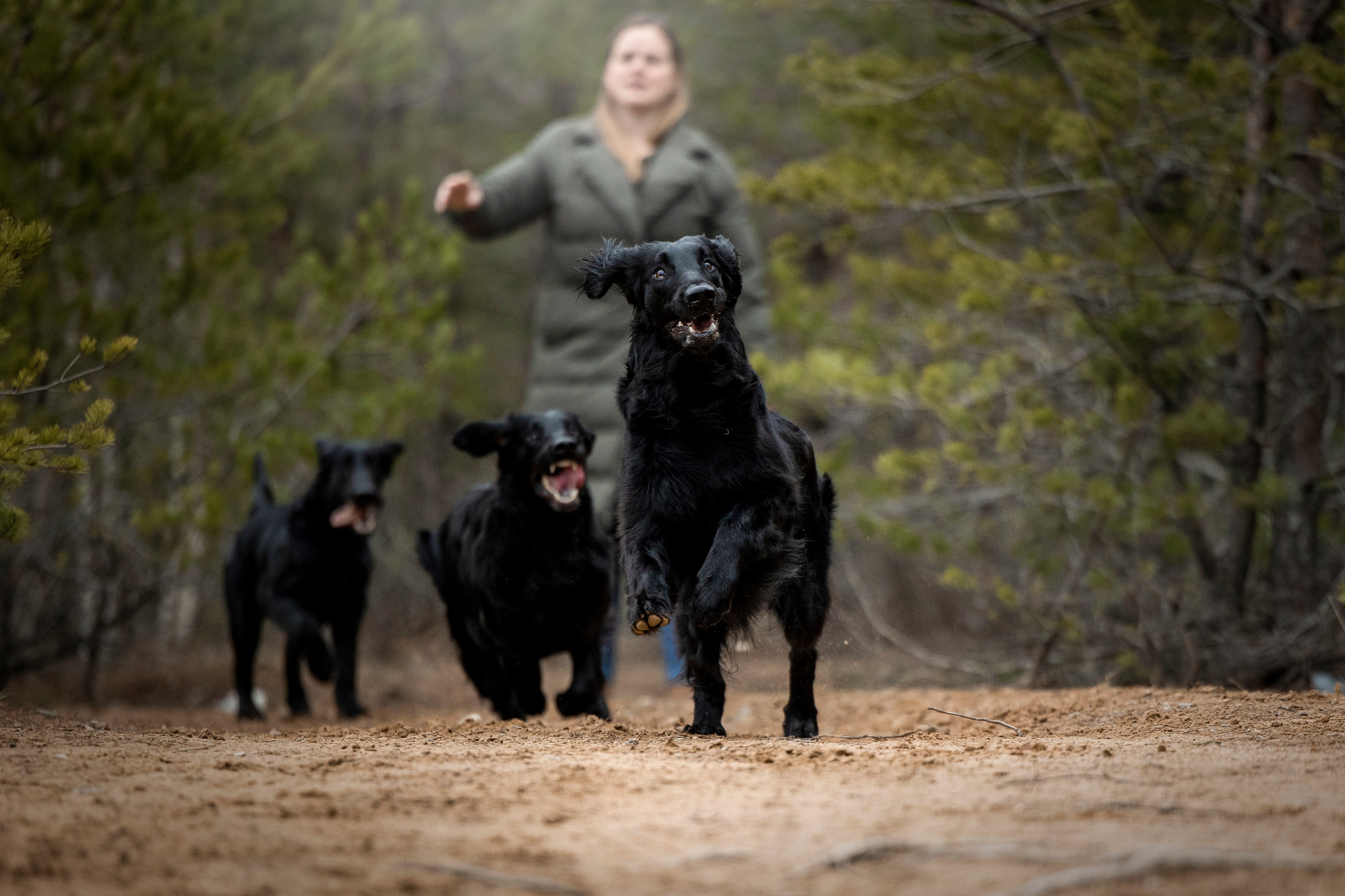 Ора, Ева, Рози и их семья. Фотограф — Анималист | Санкт-Петербург