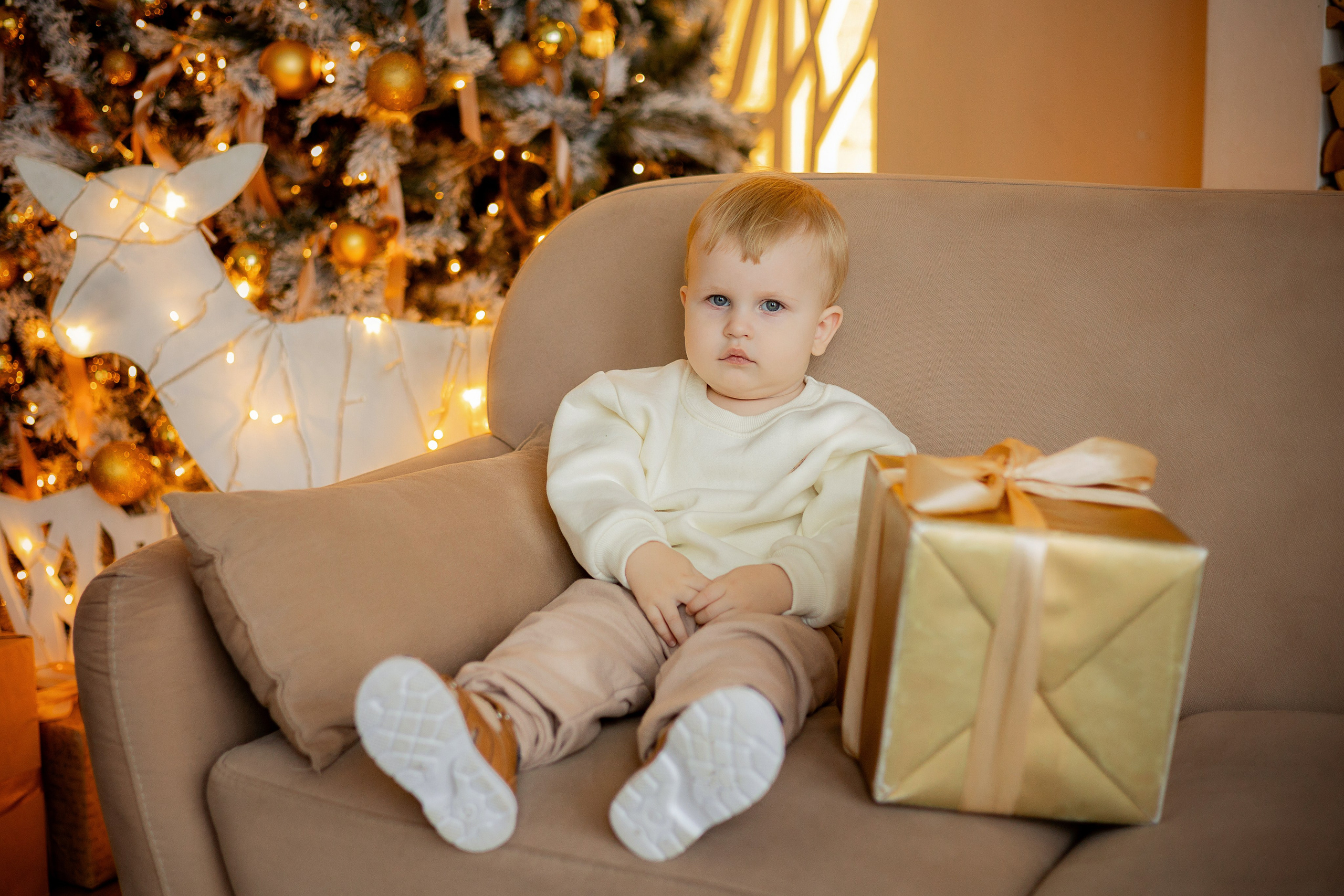 Семейная новогодняя история. Зал Норд. Фотограф Ульянкина Мария