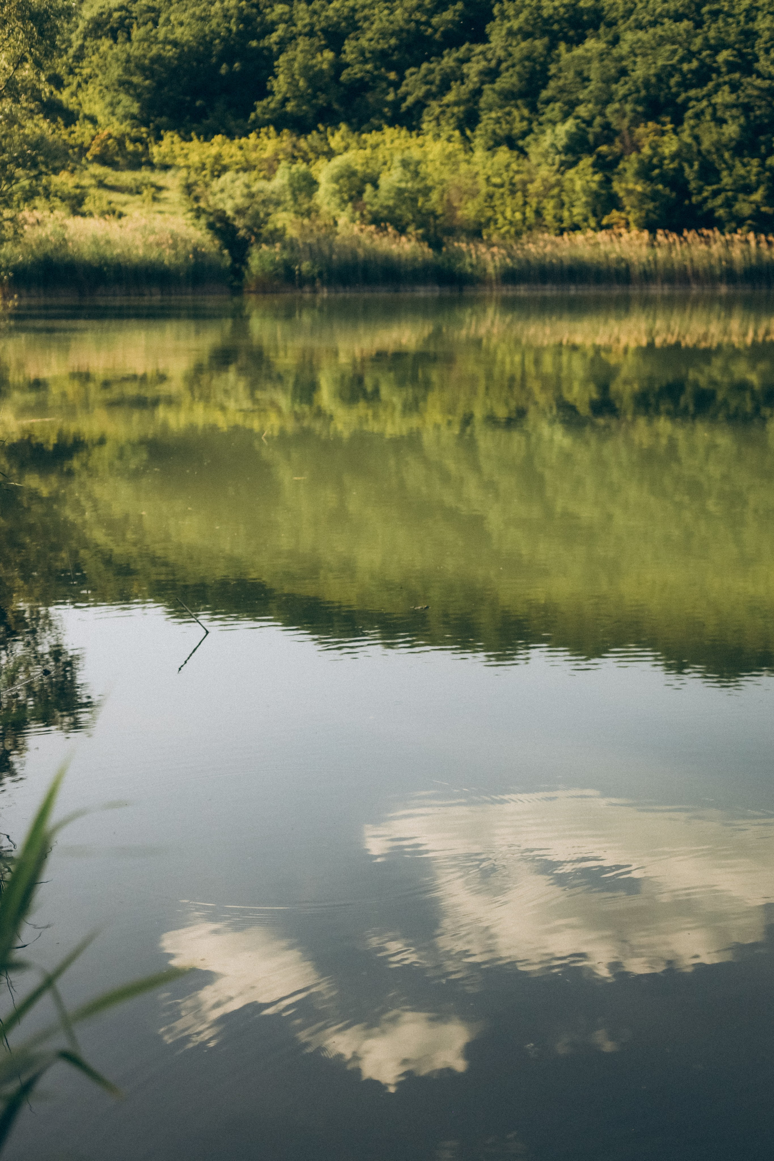 Надя, Паша, Мария. Семейный фотограф Анапа