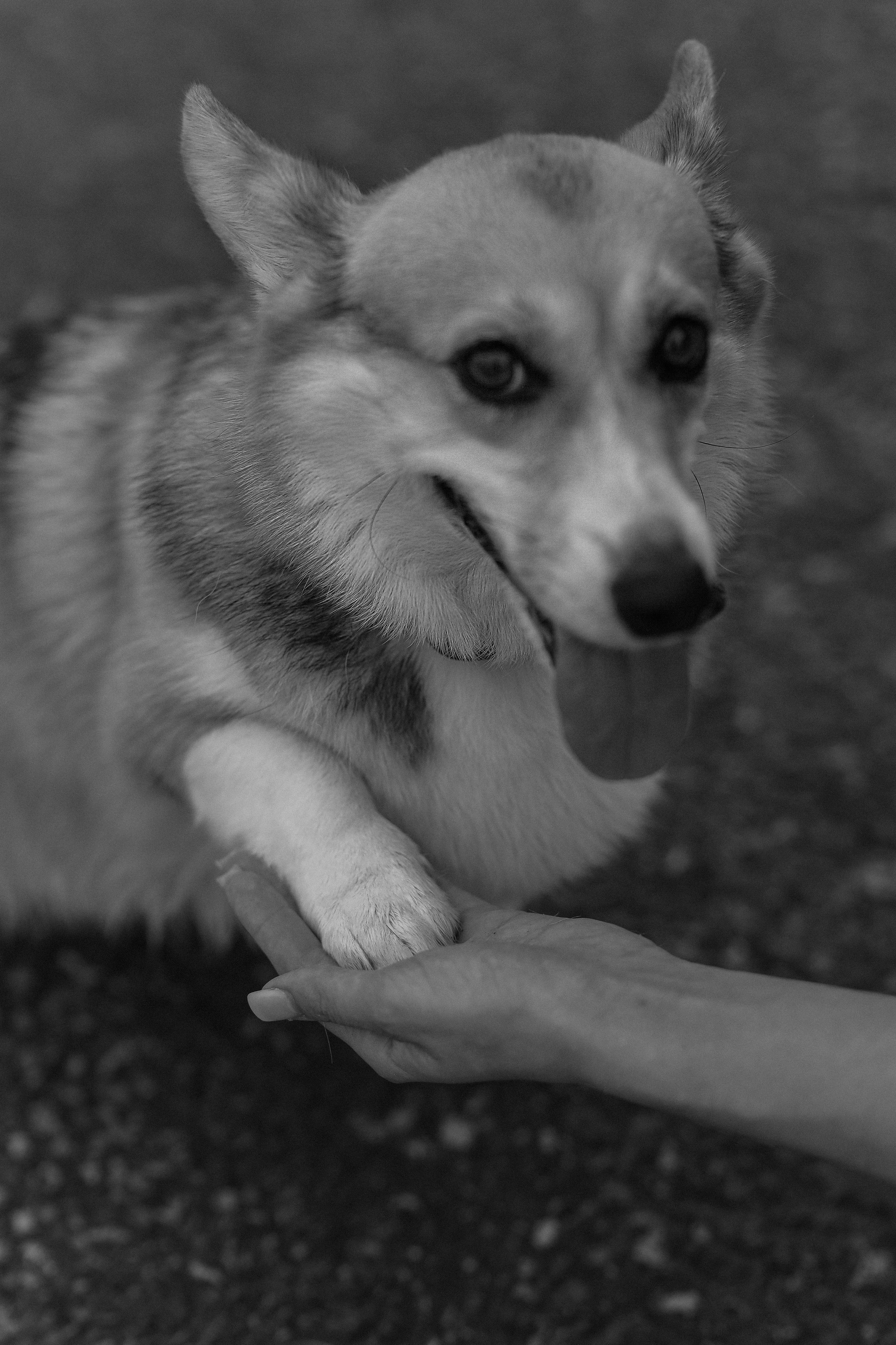 Таня. Лена Колягина Фотограф по любви