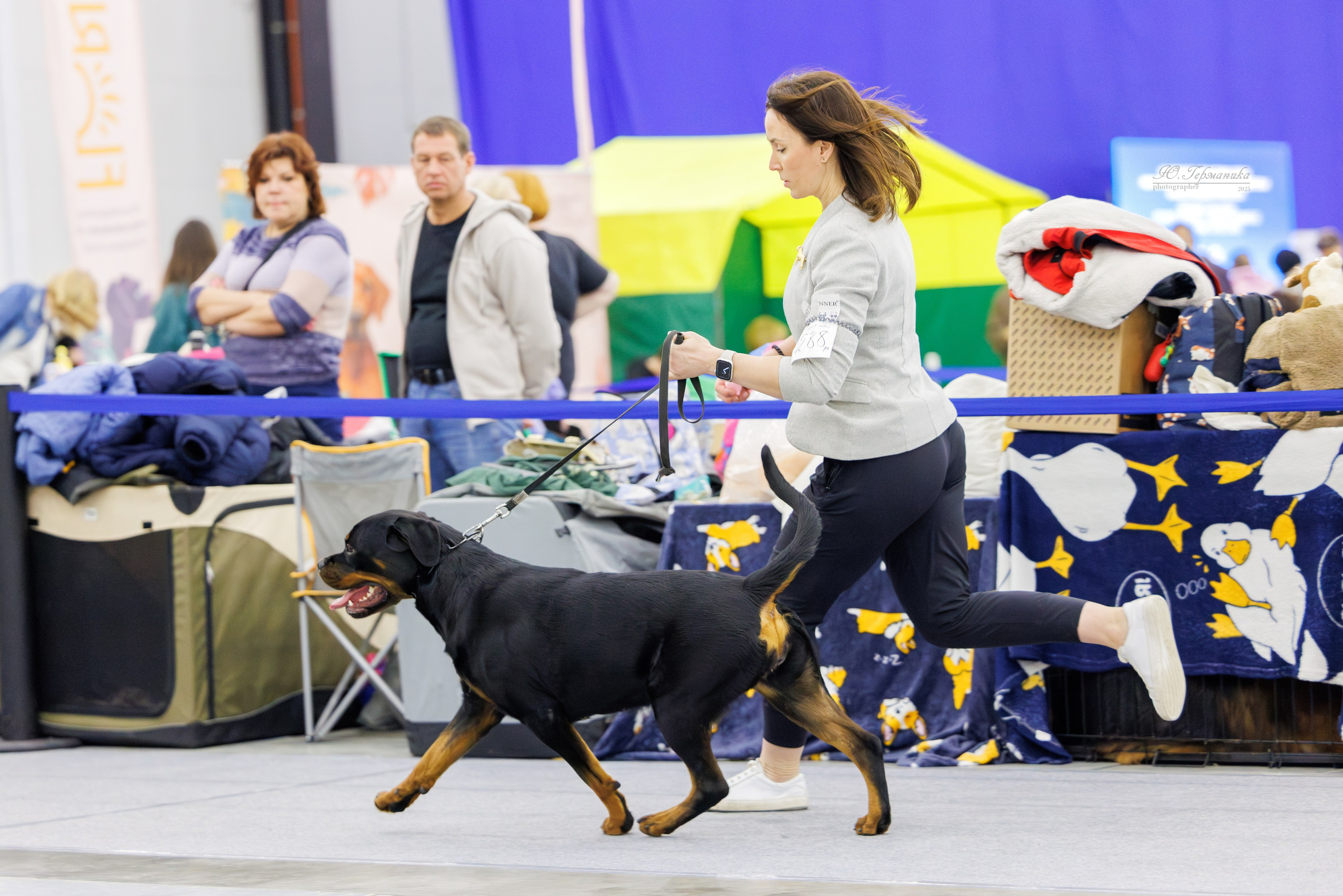 Питер 12-13.12.2025. Фотограф-анималист Юлия Германика