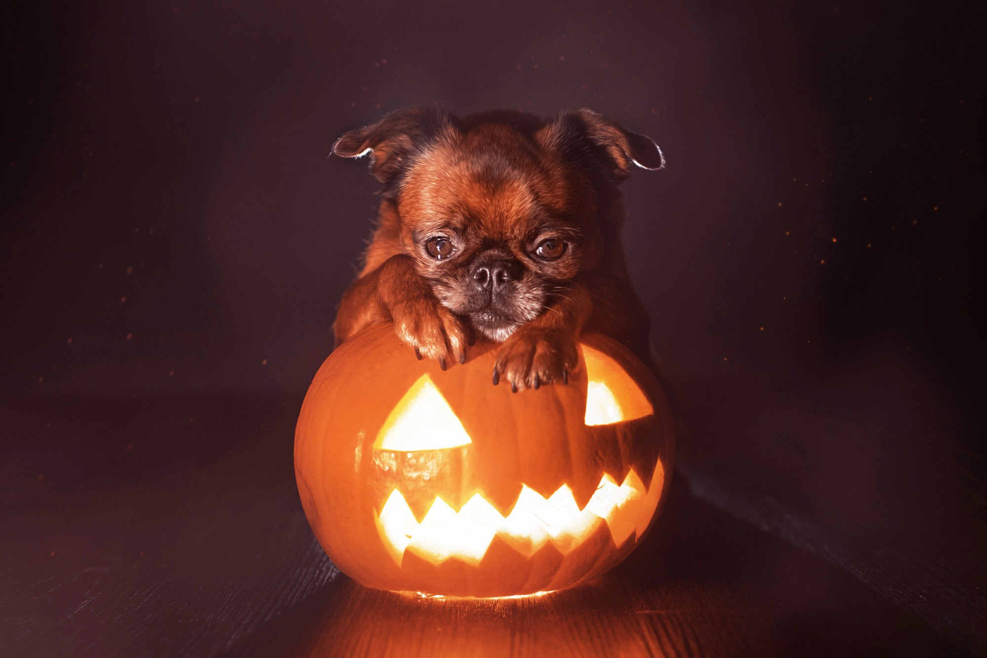 Yuliana Ra | Юлиана Ра