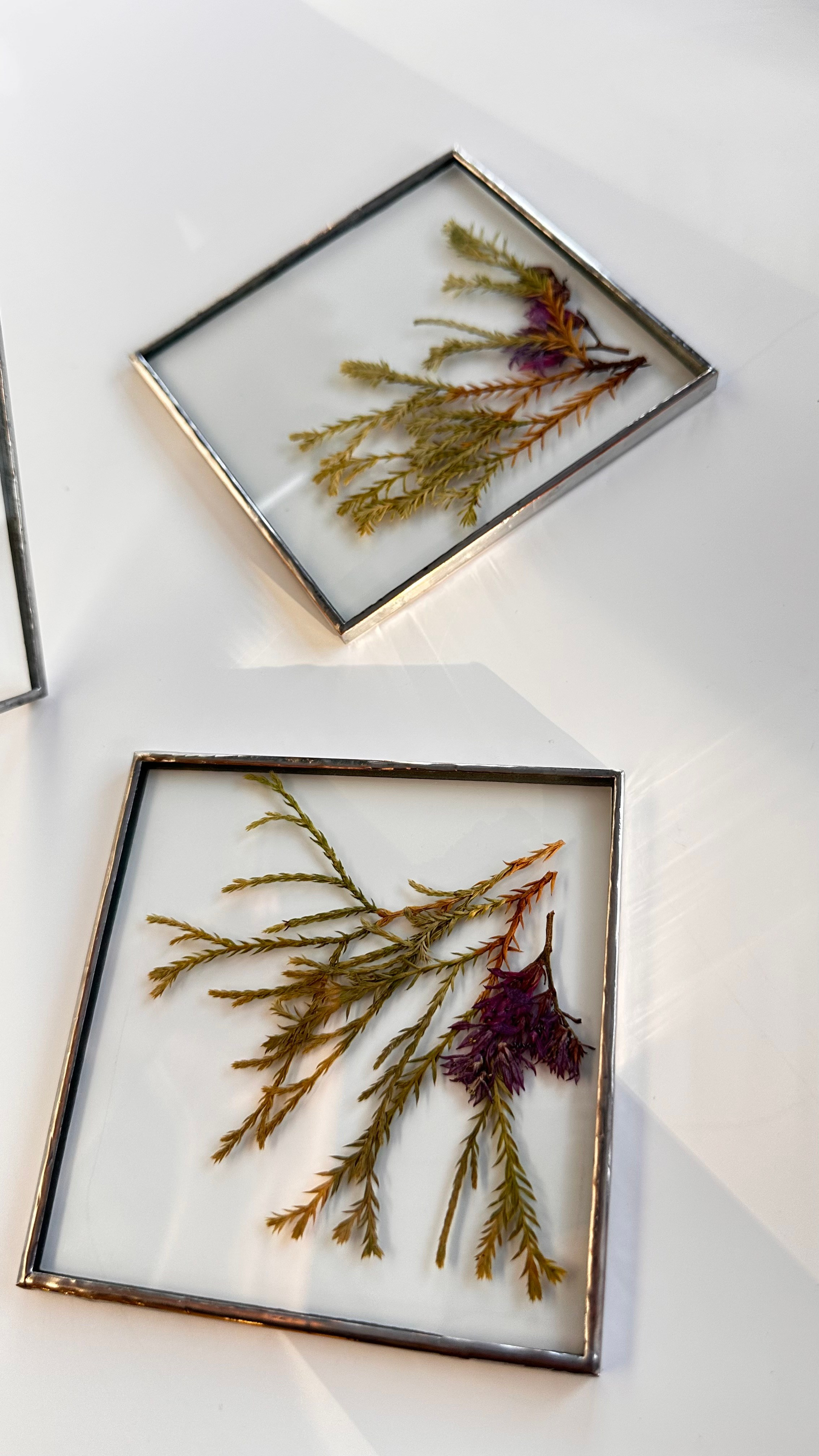 Гербарий в стекле с сухоцветами (витраж в технике тиффани). Гербарий в стекле, интерьерные панно, витражи с сухоцветами в технике тиффани